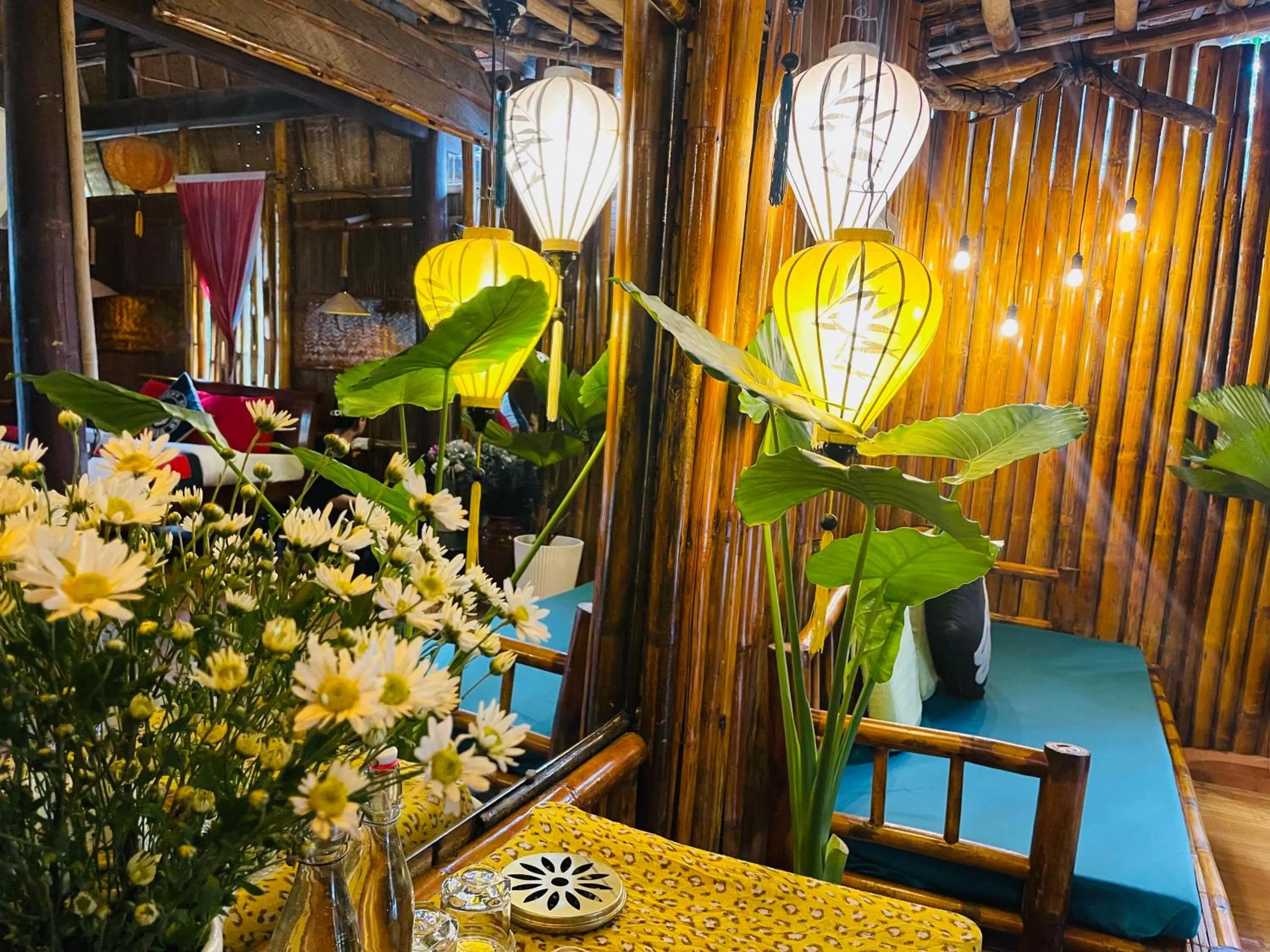 Under The Coconut Tree Hoi An