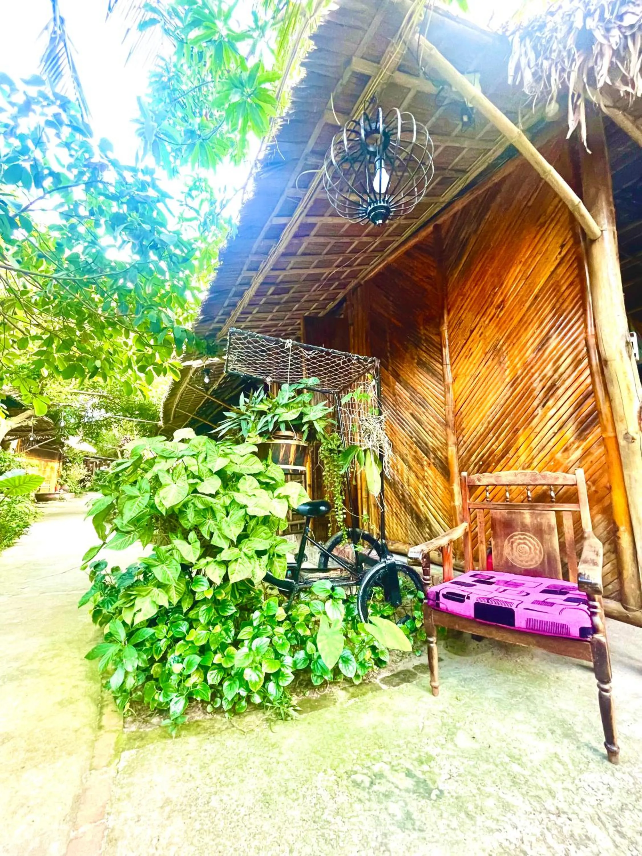 Under The Coconut Tree Hoi An