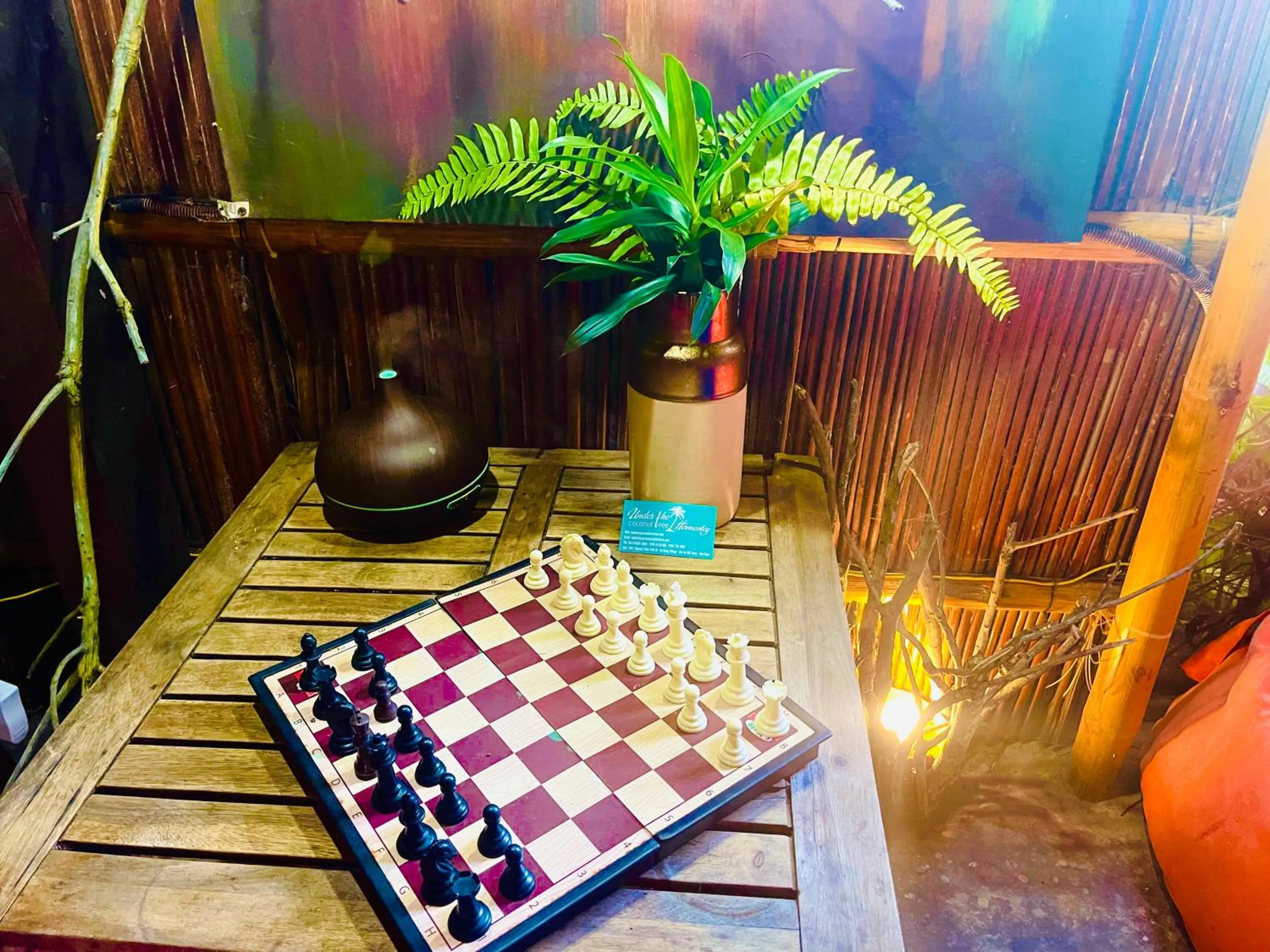 Under The Coconut Tree Hoi An