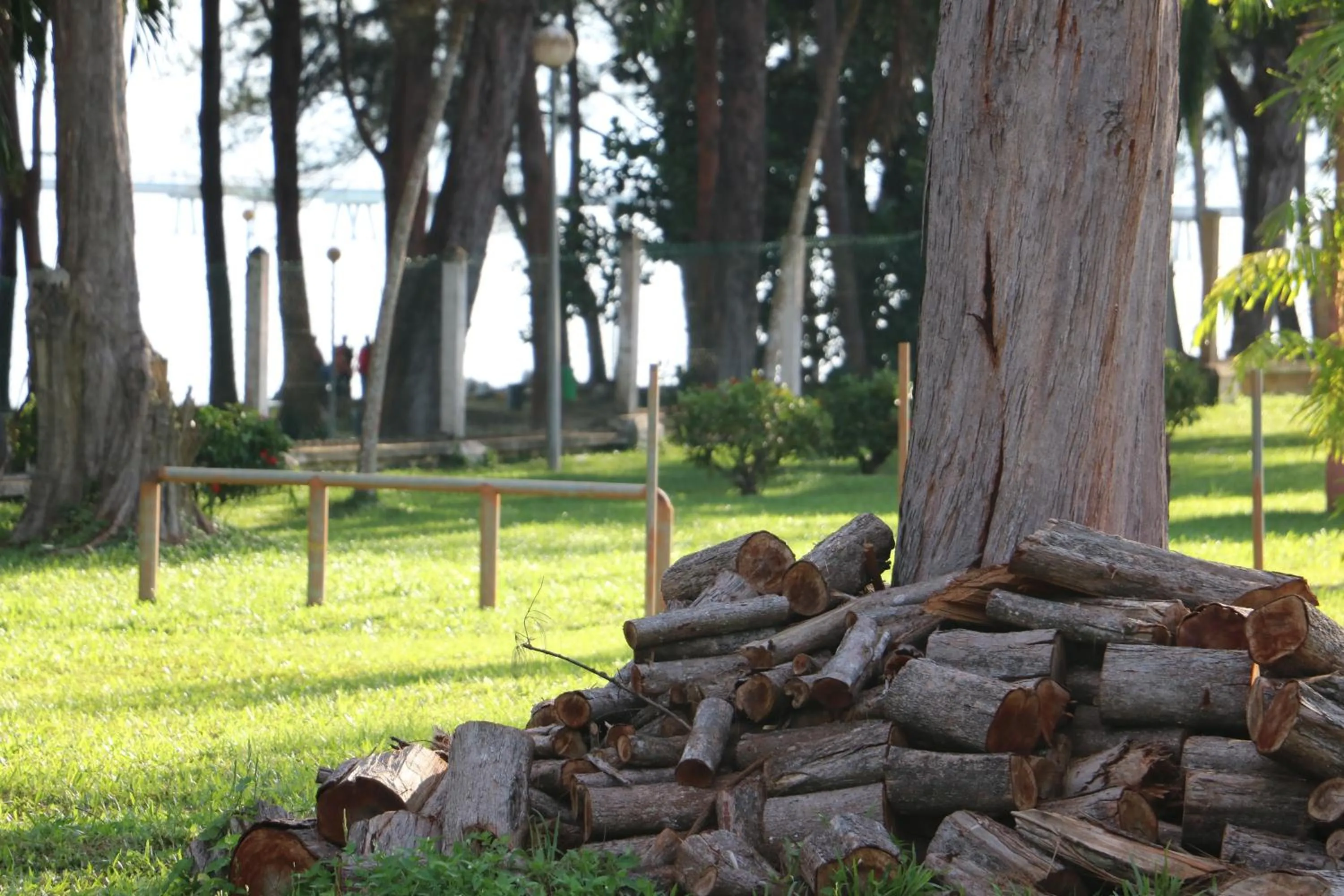 Hotel Felda Residence Sahabat