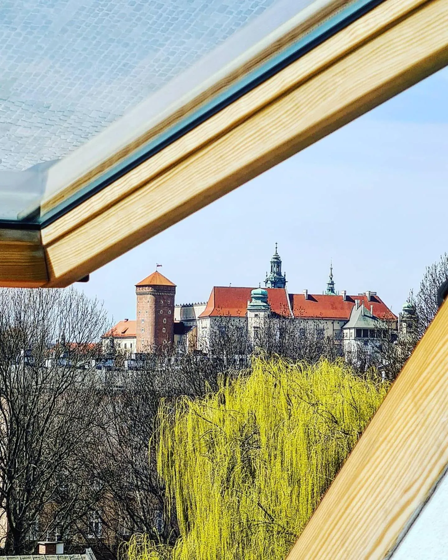 View (from property/room) in Hotel Rubinstein