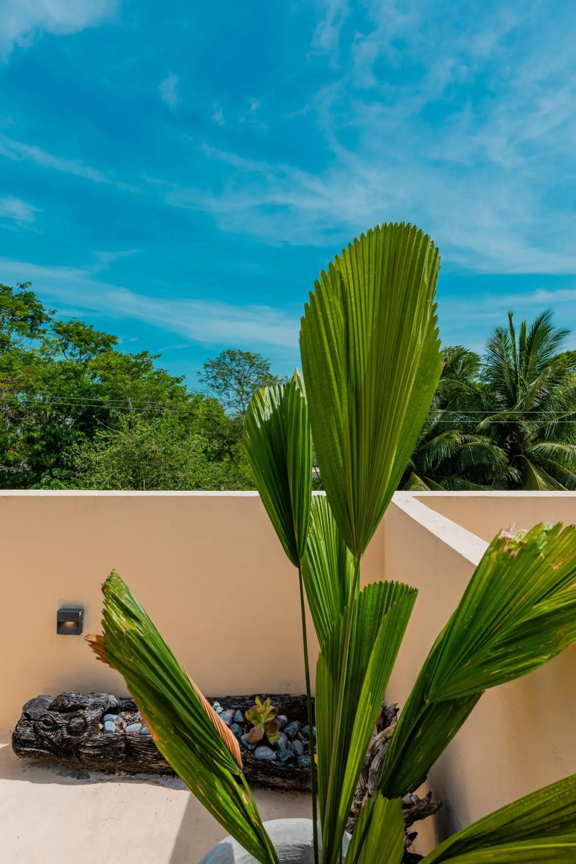 Property building in Alma de Zorro Property building in Alma de Zorro