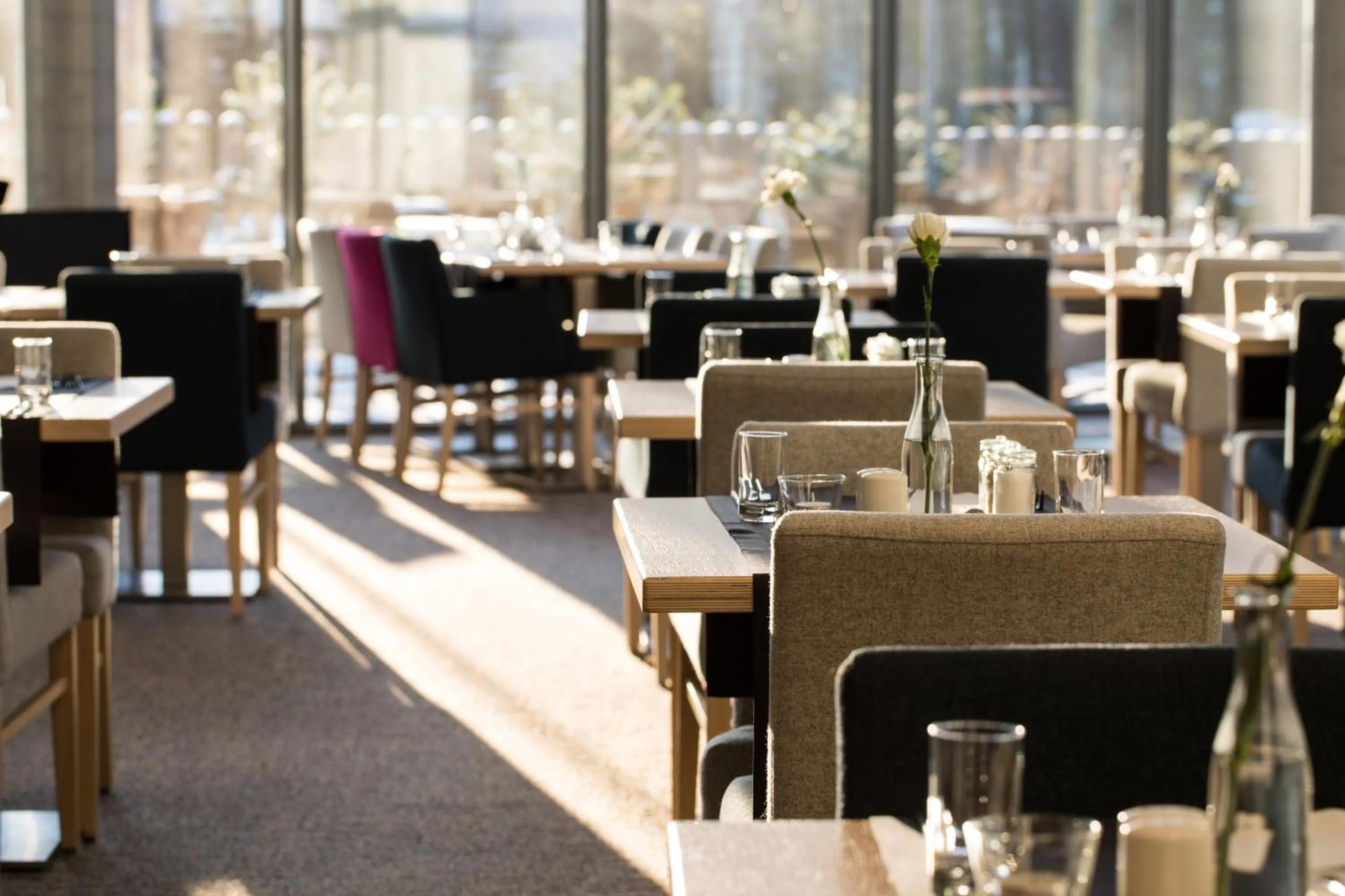 Restaurant/places to eat in Hotel Shuum Boutique - Destigo Hotels