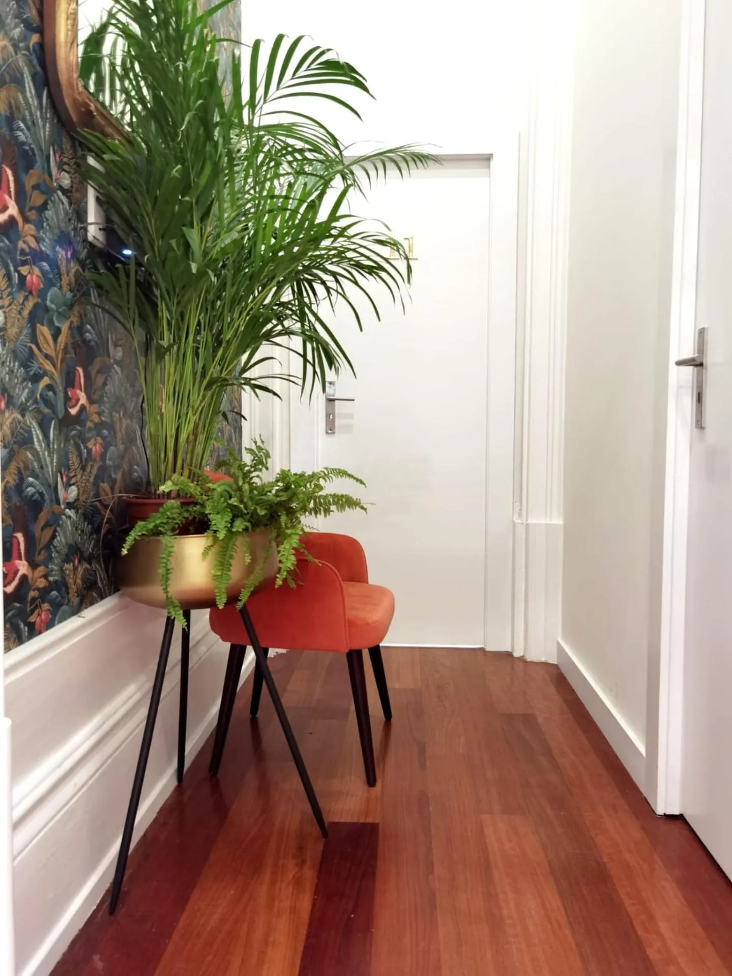 Property building in Monsenhor52