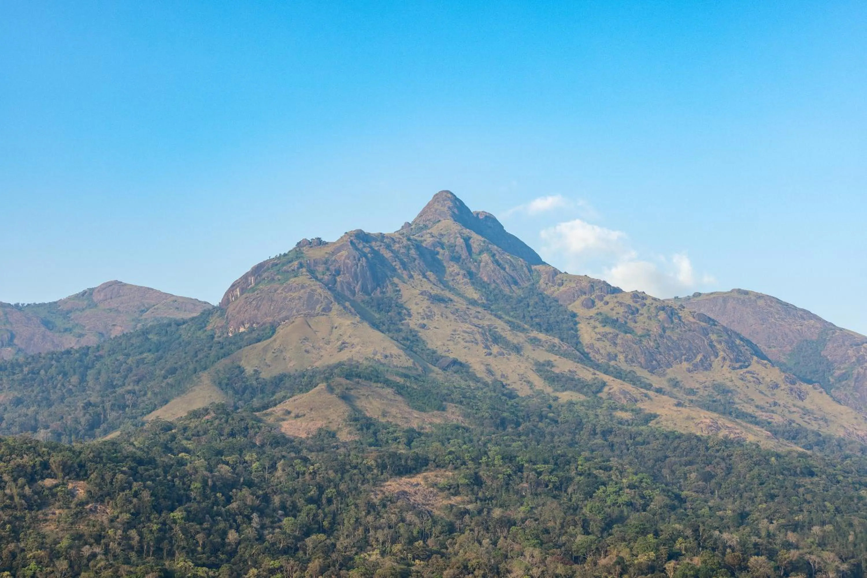 Day in Eterno Camellia & Elettaria Resort with Pool