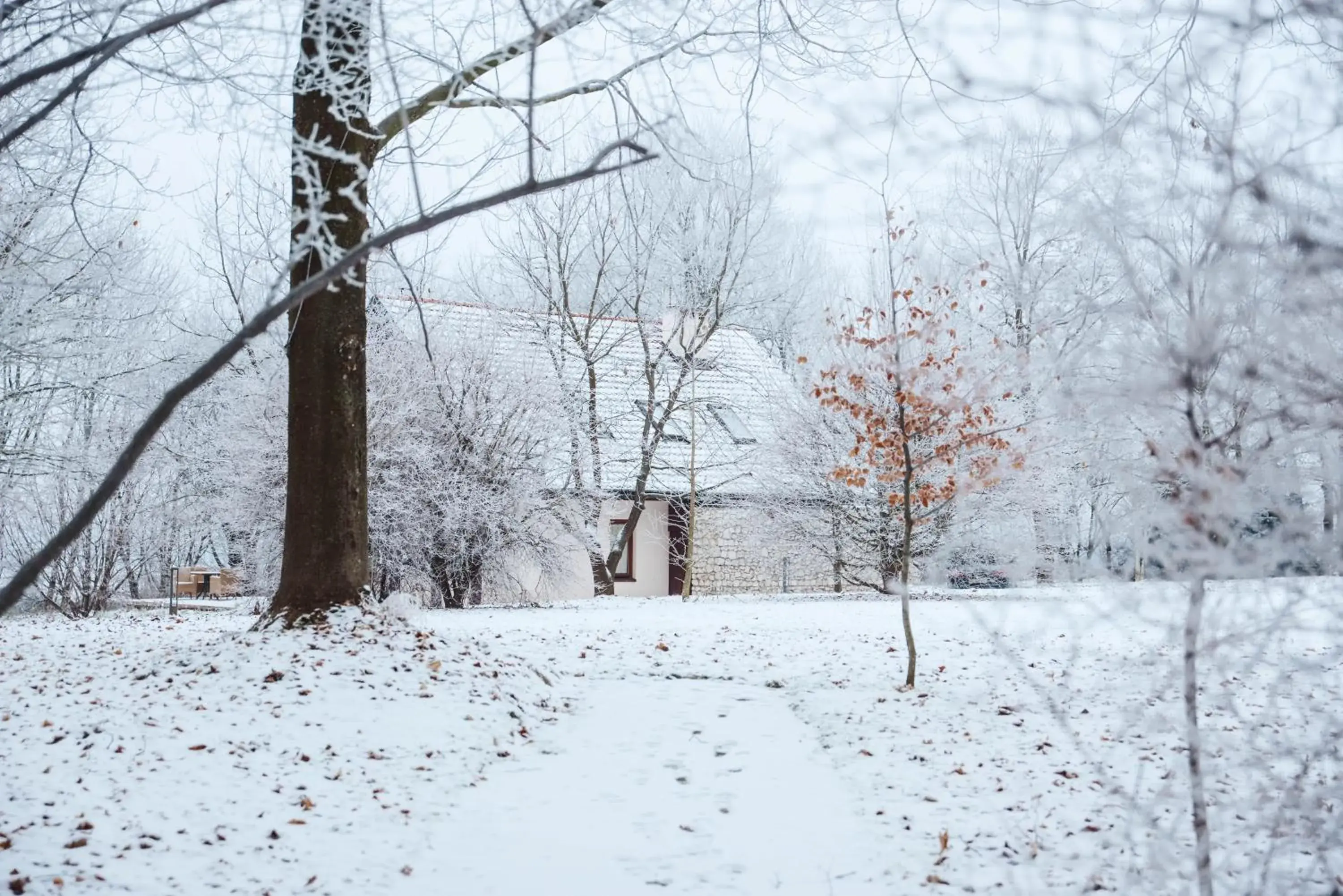 Three-Bedroom Chalet in Dwór w Tomaszowicach Three-Bedroom Chalet in Dwór w Tomaszowicach