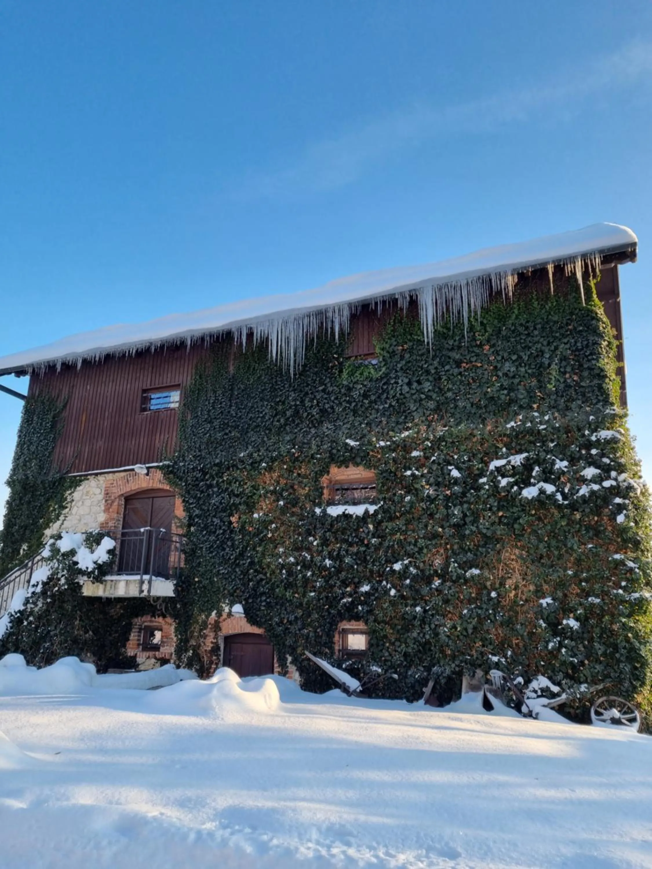Winter in Dwór w Tomaszowicach