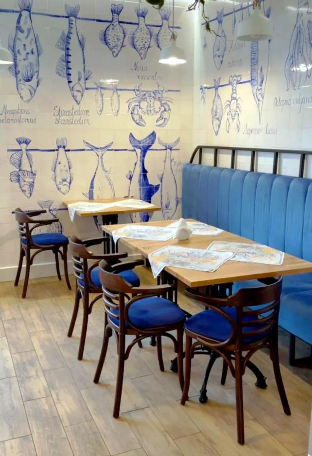 Restaurant/places to eat in Rezydencja Bielik