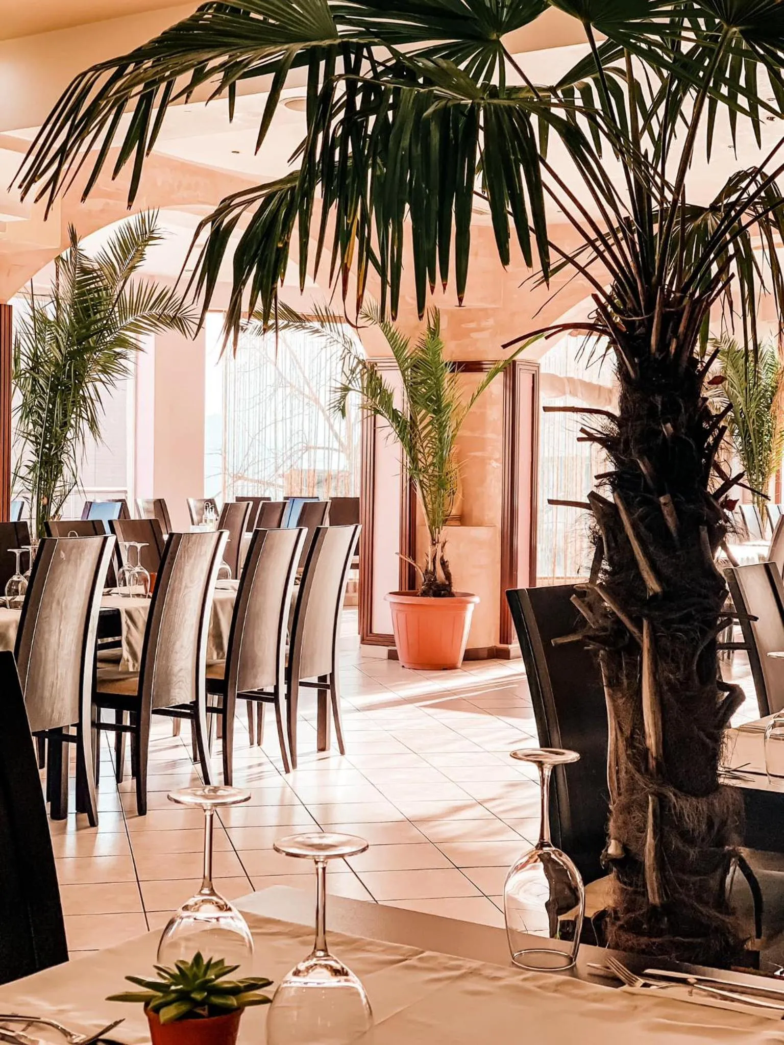 Restaurant/places to eat in Meatsa Hotel