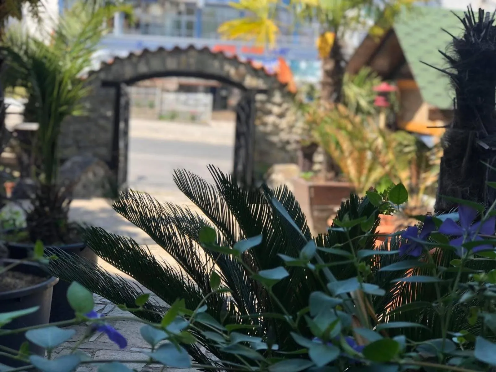 Patio in Meatsa Hotel