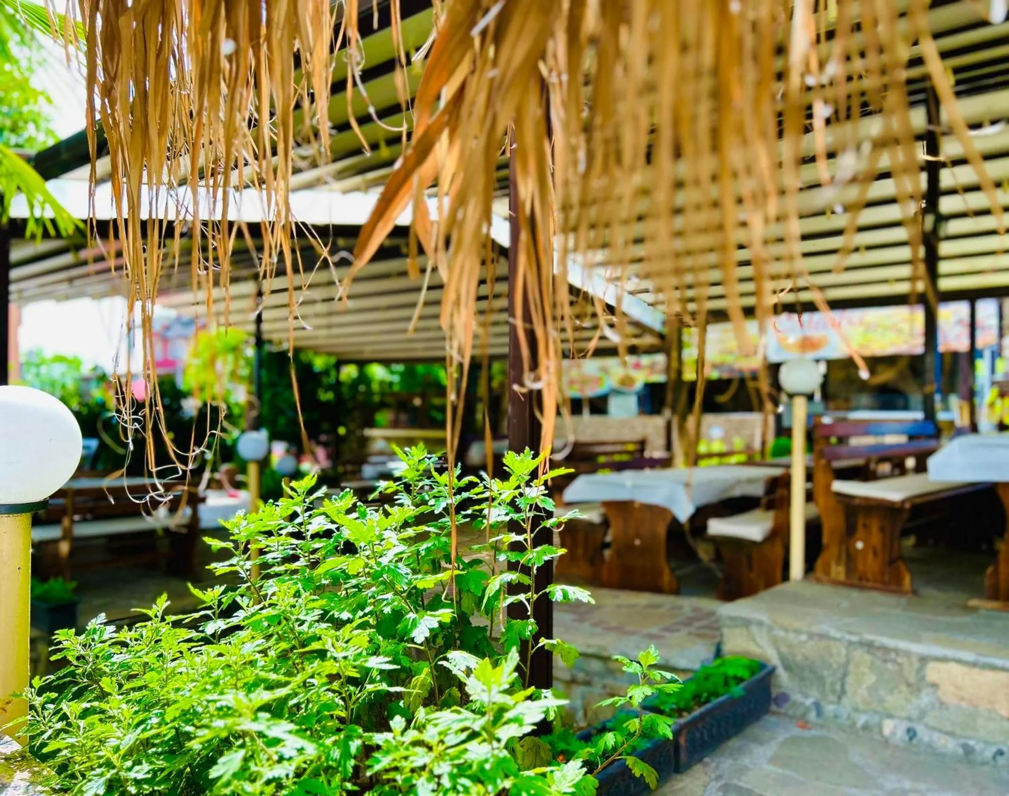 Spring in Meatsa Hotel