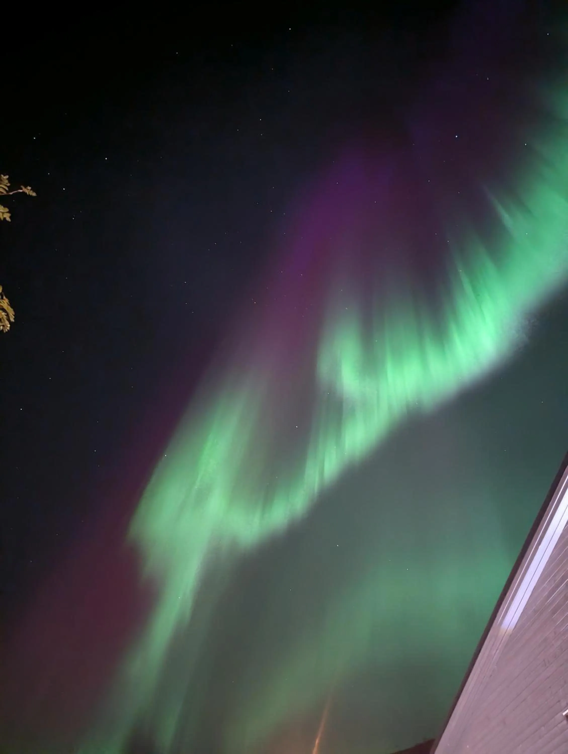 The House of Aurora II