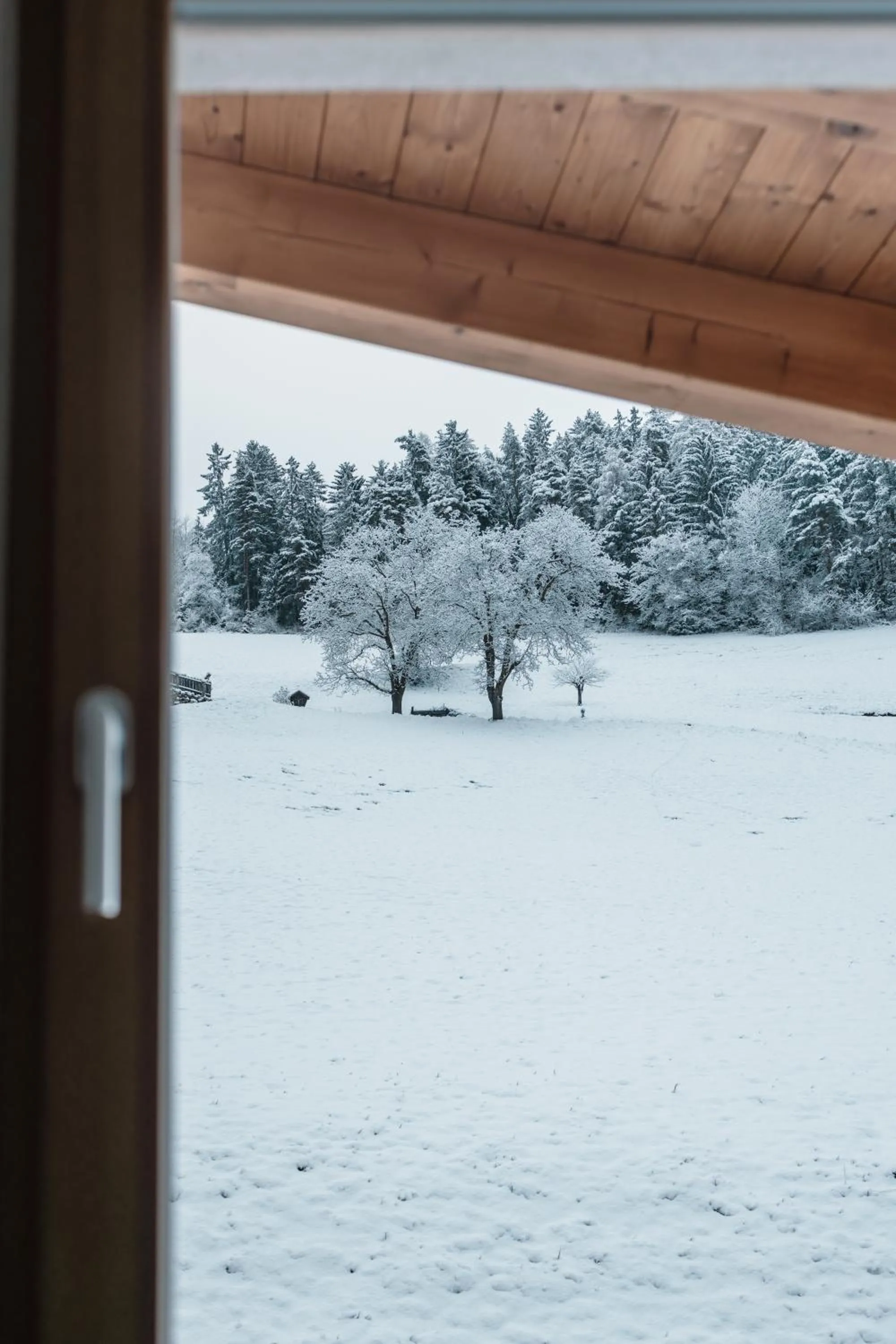 Property building in Hotel Fernblick