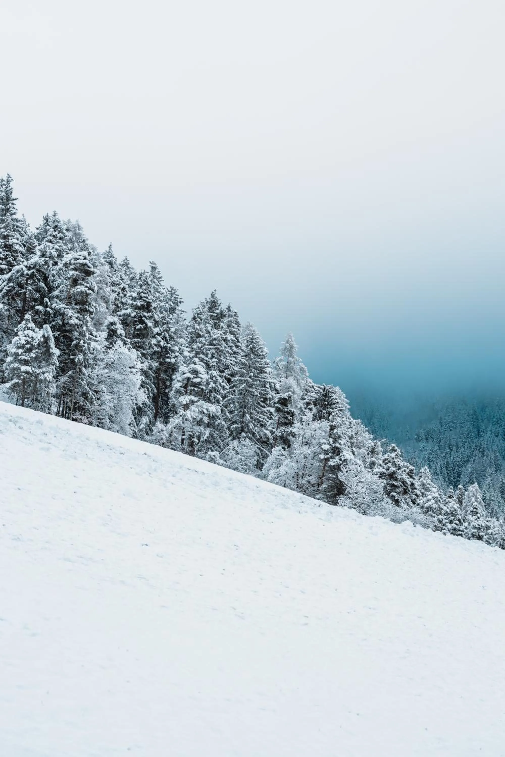Property building in Hotel Fernblick