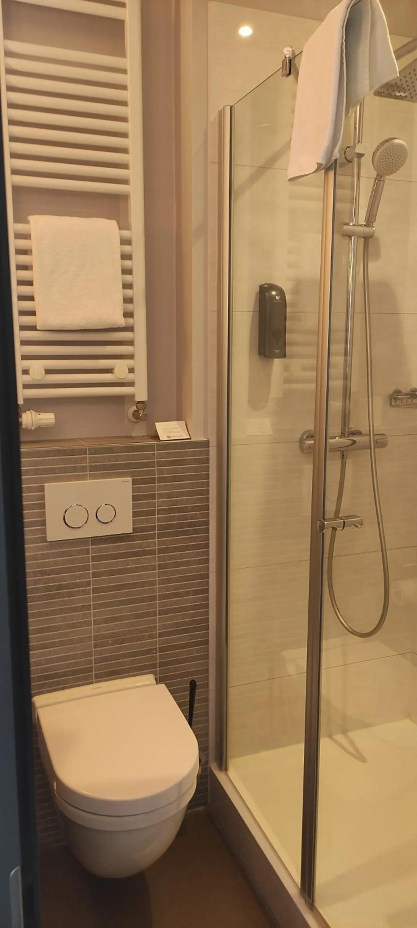 Toilet in Hotel Via Regia - VIAs-Hotels