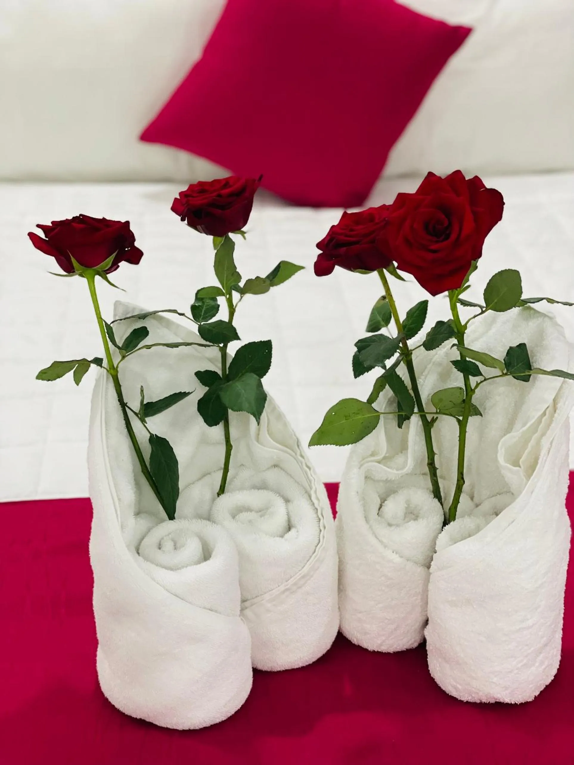 Photo of the whole room in PHÚ GIA BÙI VIỆN HOTEl