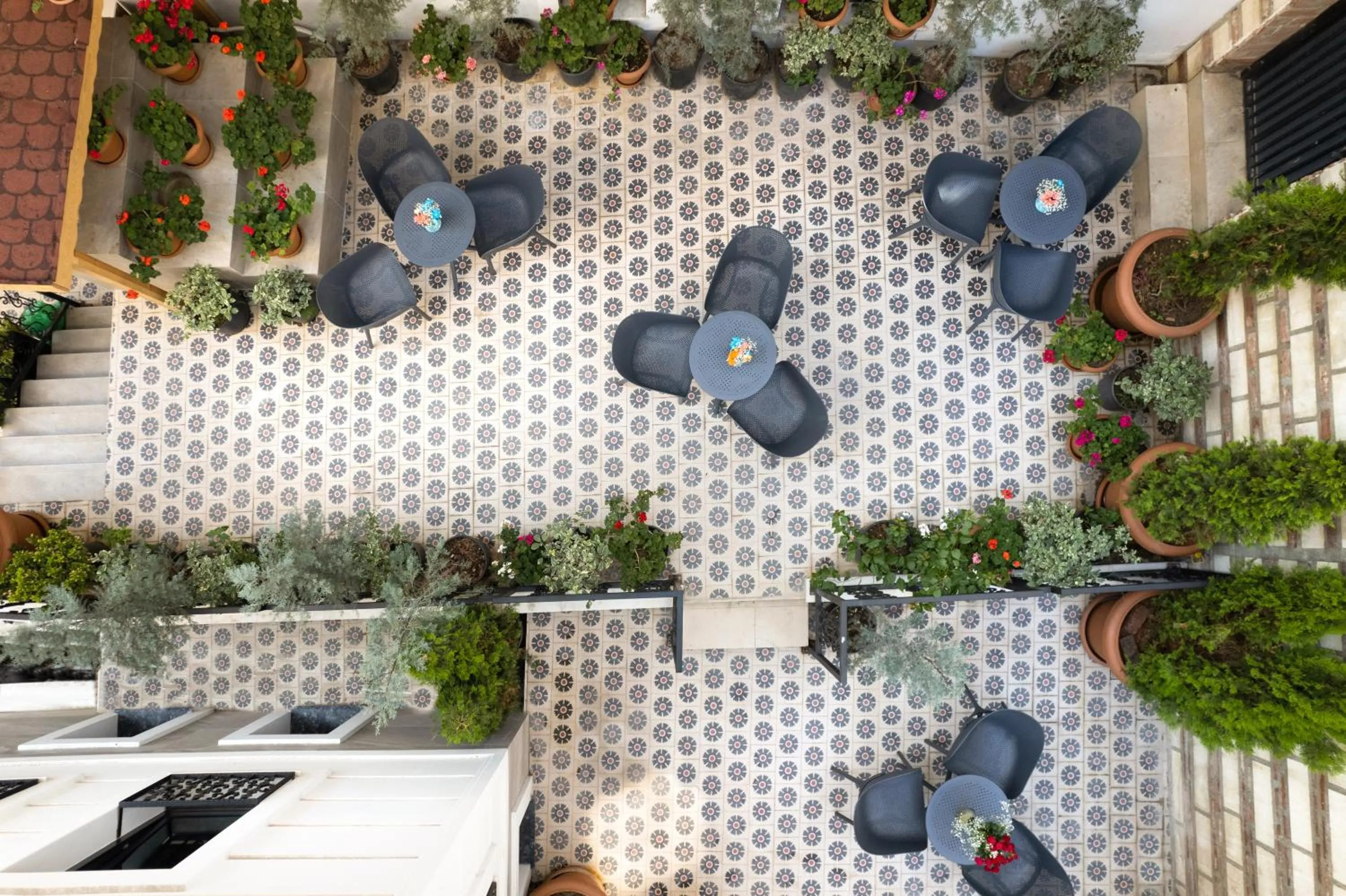 Garden in Imagine Hotel-Special Category