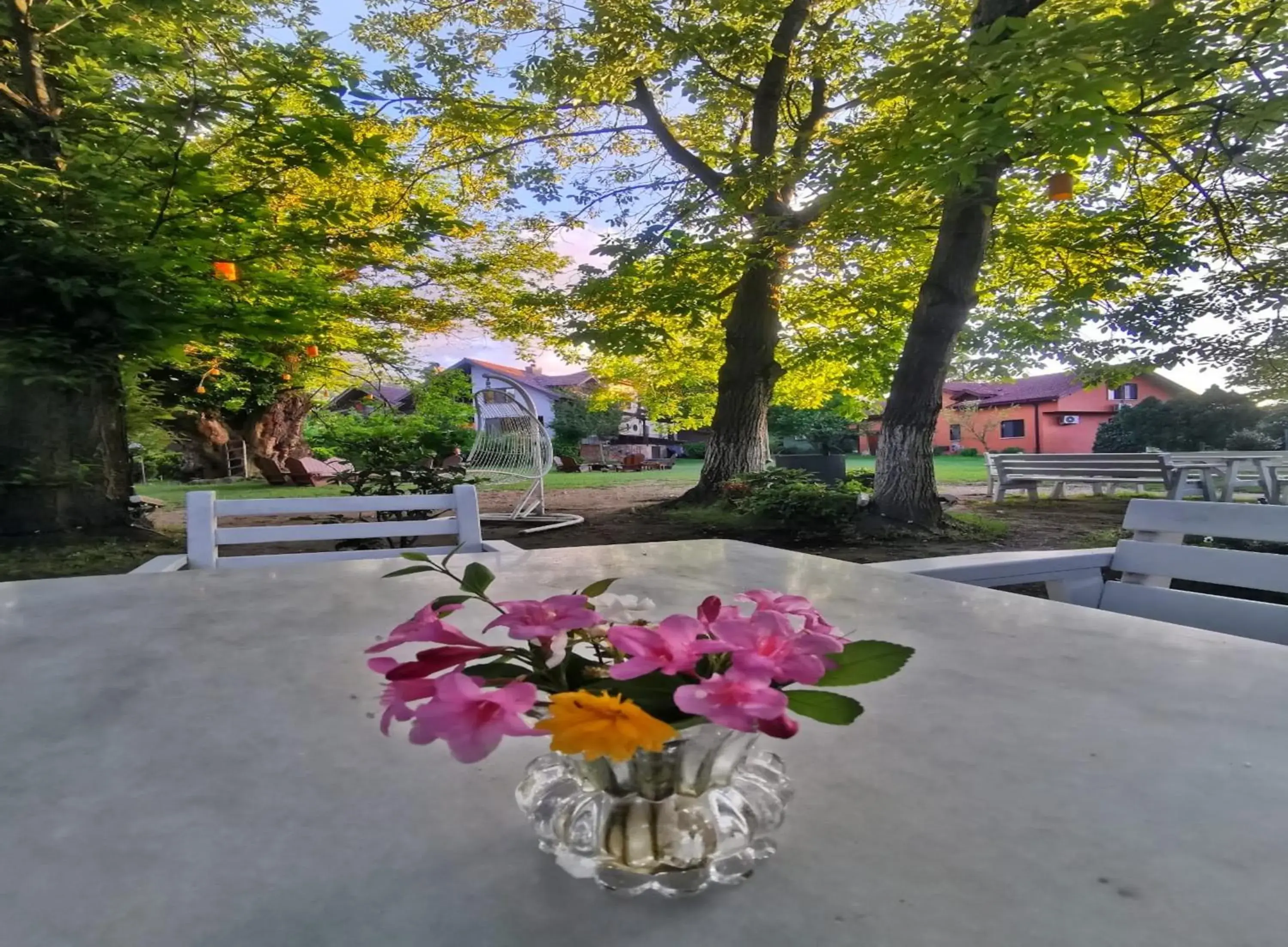 Restaurant/places to eat in Villa Kirkpinar Sapanca Restaurant/places to eat in Villa Kirkpinar Sapanca