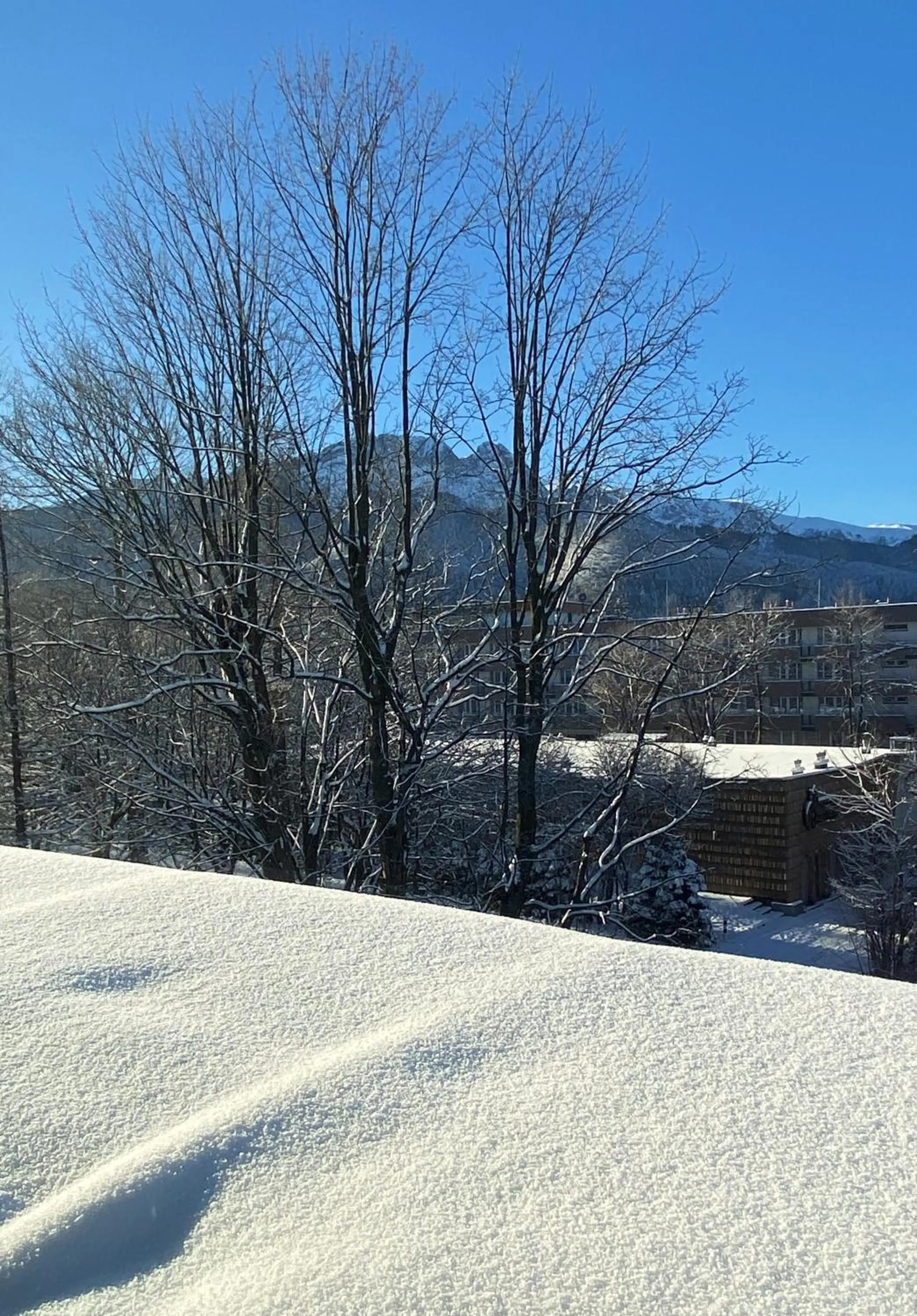 Mountain view in Tuberoza