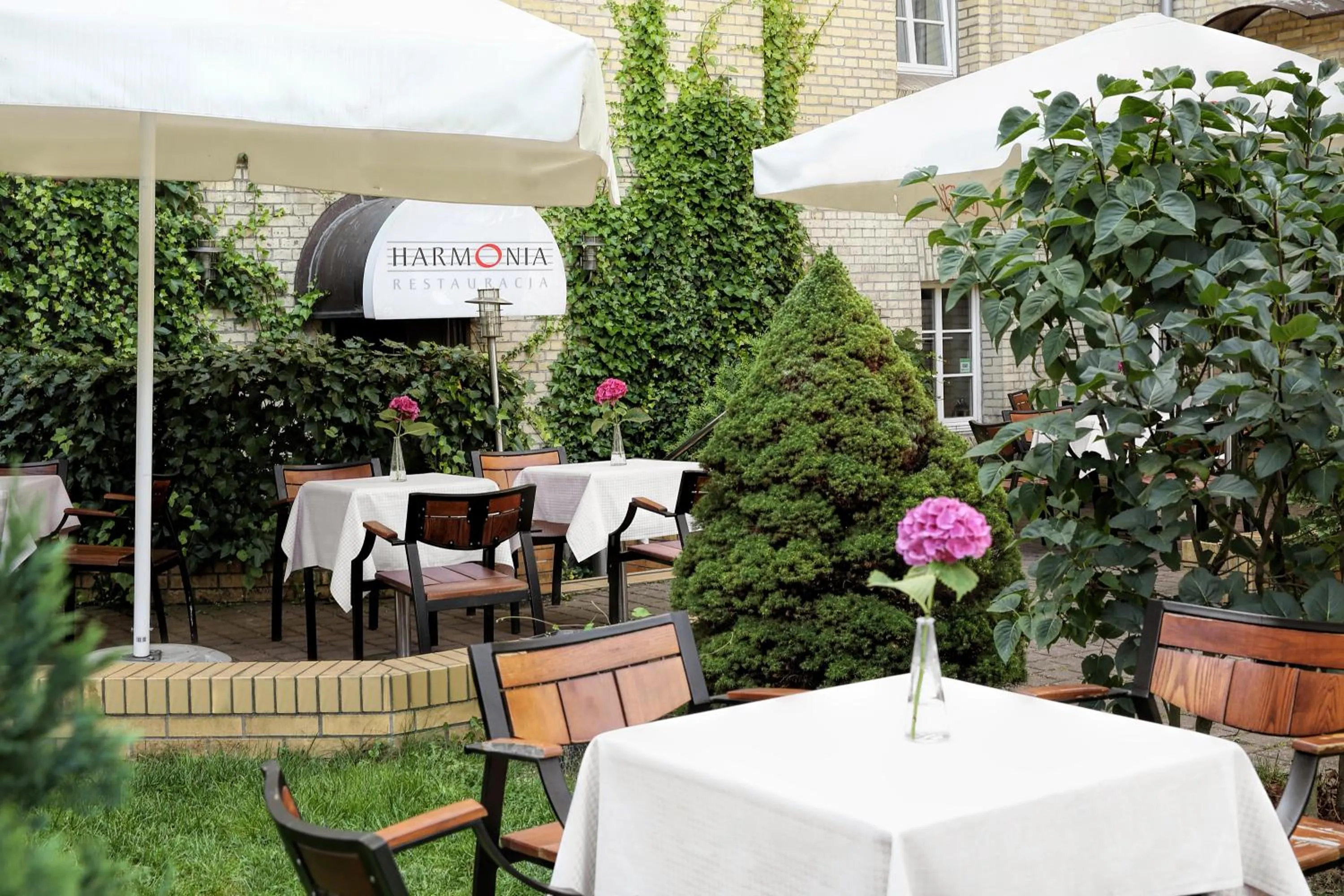 Restaurant/places to eat in Dom Muzyka