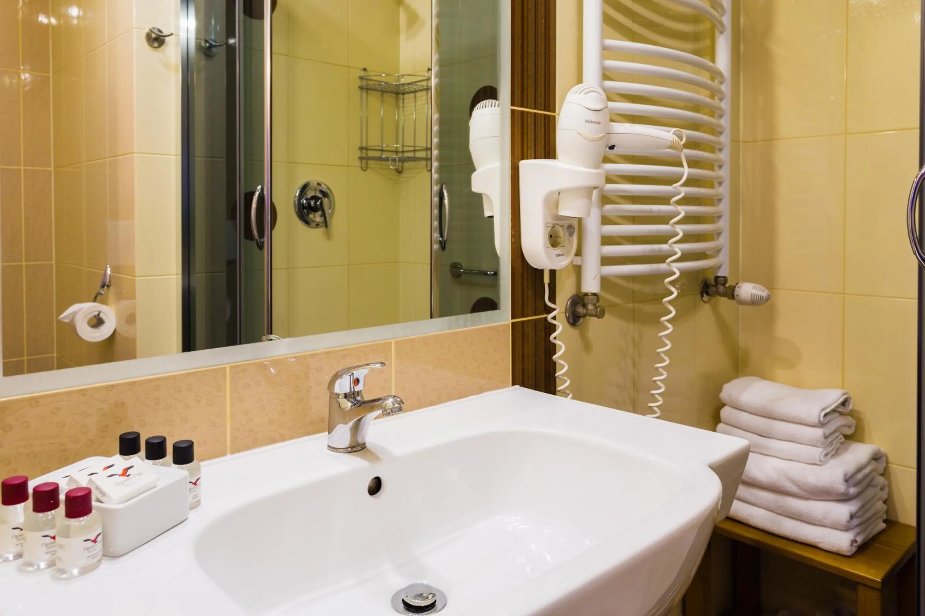 Shower in Hotel Ognisty Ptak