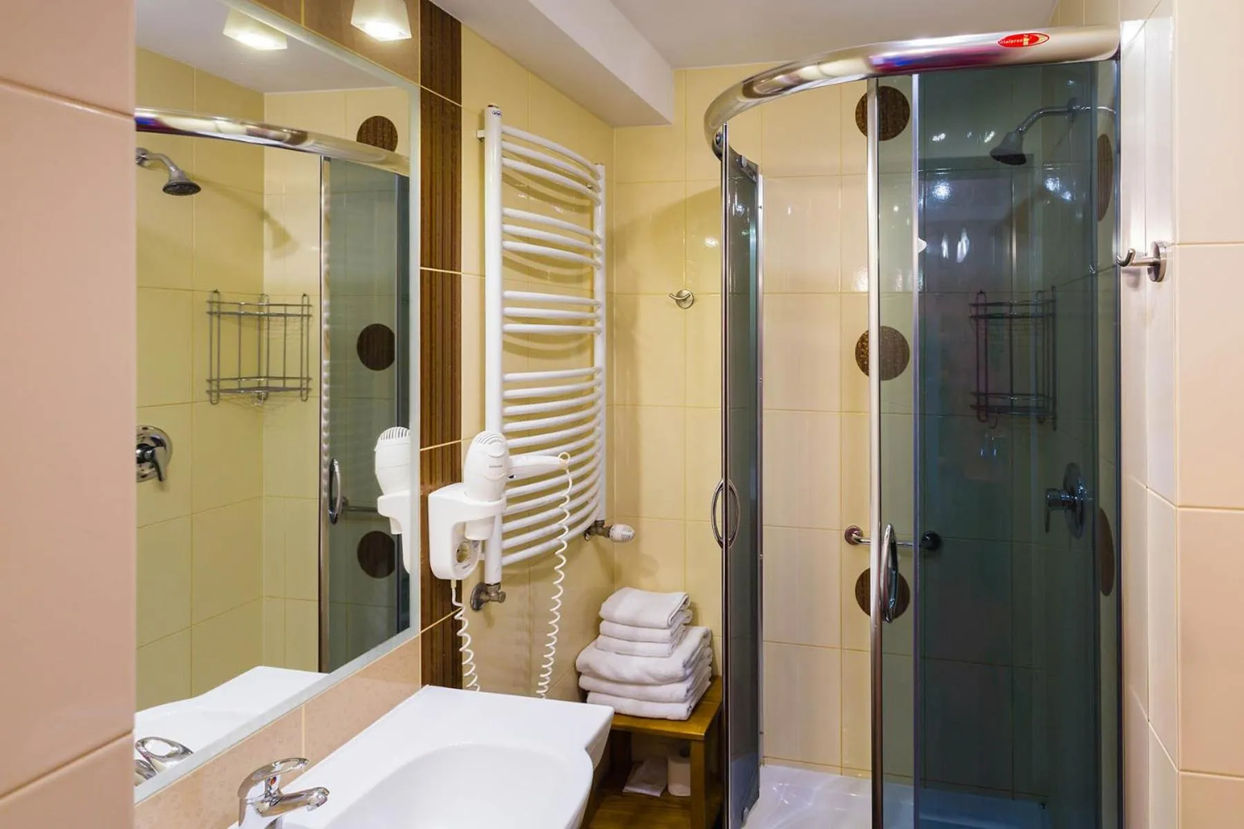 Shower in Hotel Ognisty Ptak
