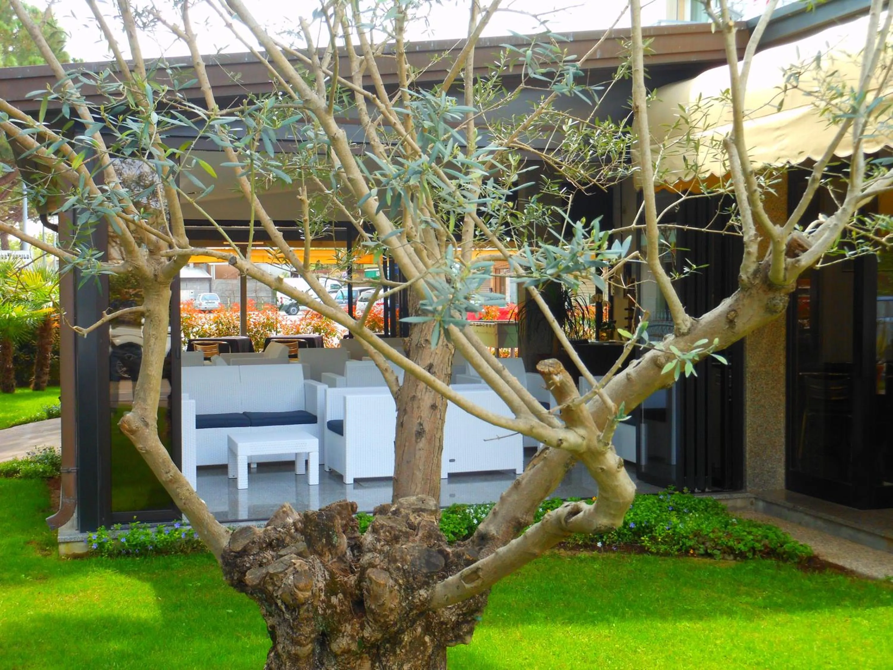 Garden in Hotel Jesolo Sand