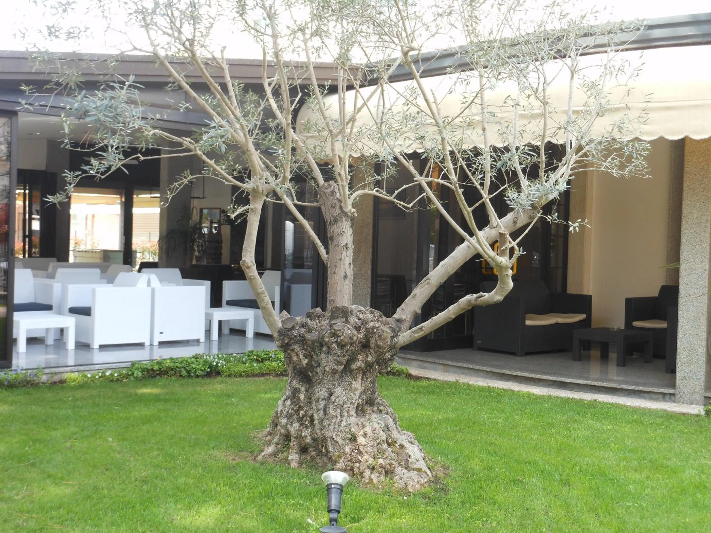 Balcony/Terrace in Hotel Jesolo Sand