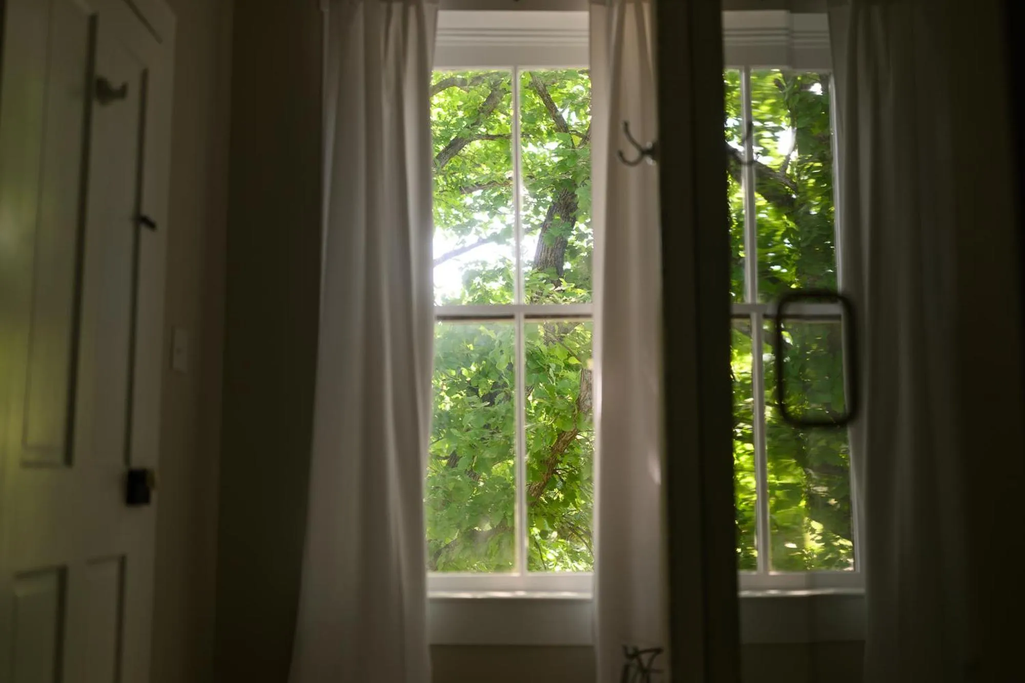 Inner courtyard view in Rose Hill Inn