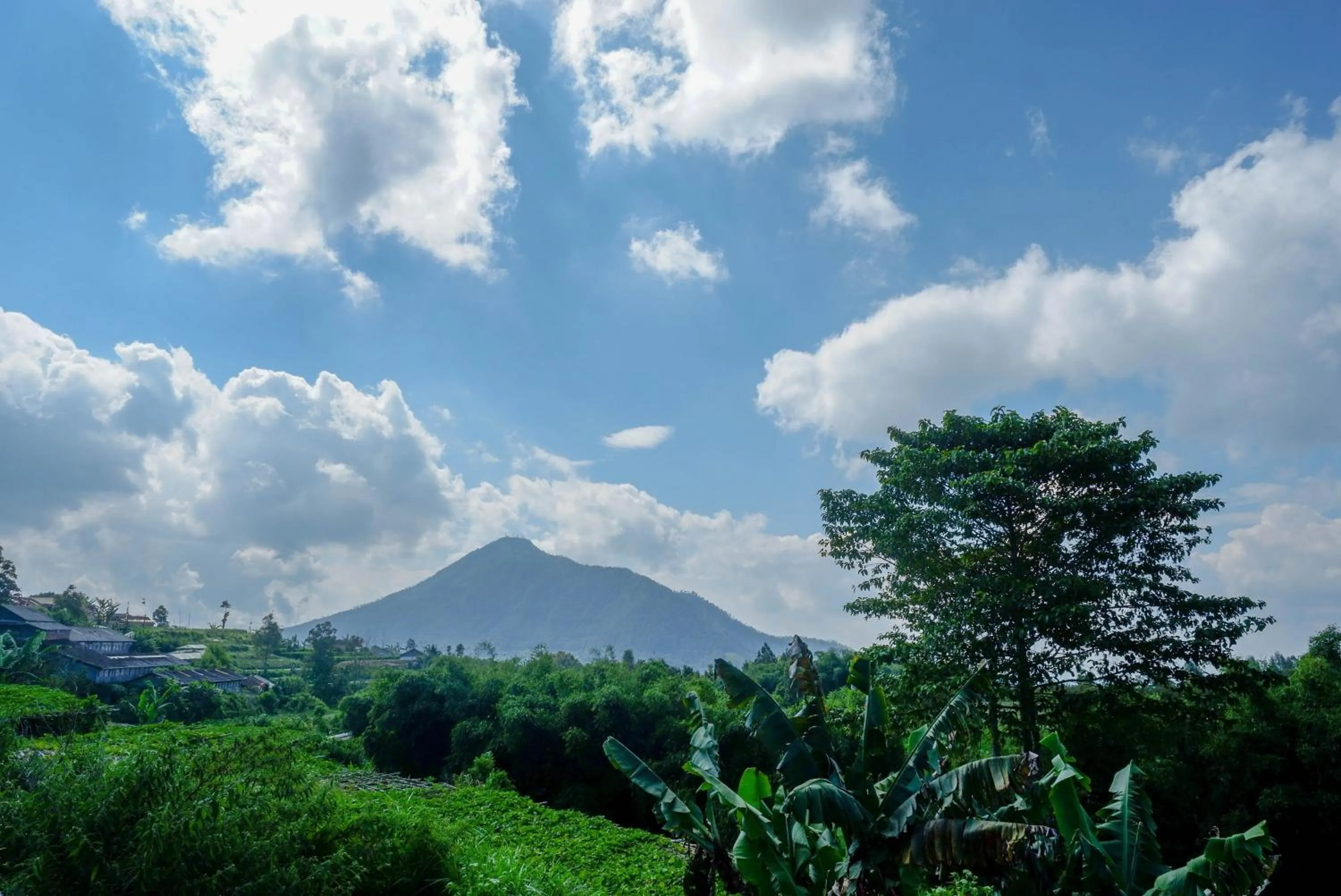 View (from property/room) in Urbanview Hotel Mountain Palace Kopeng