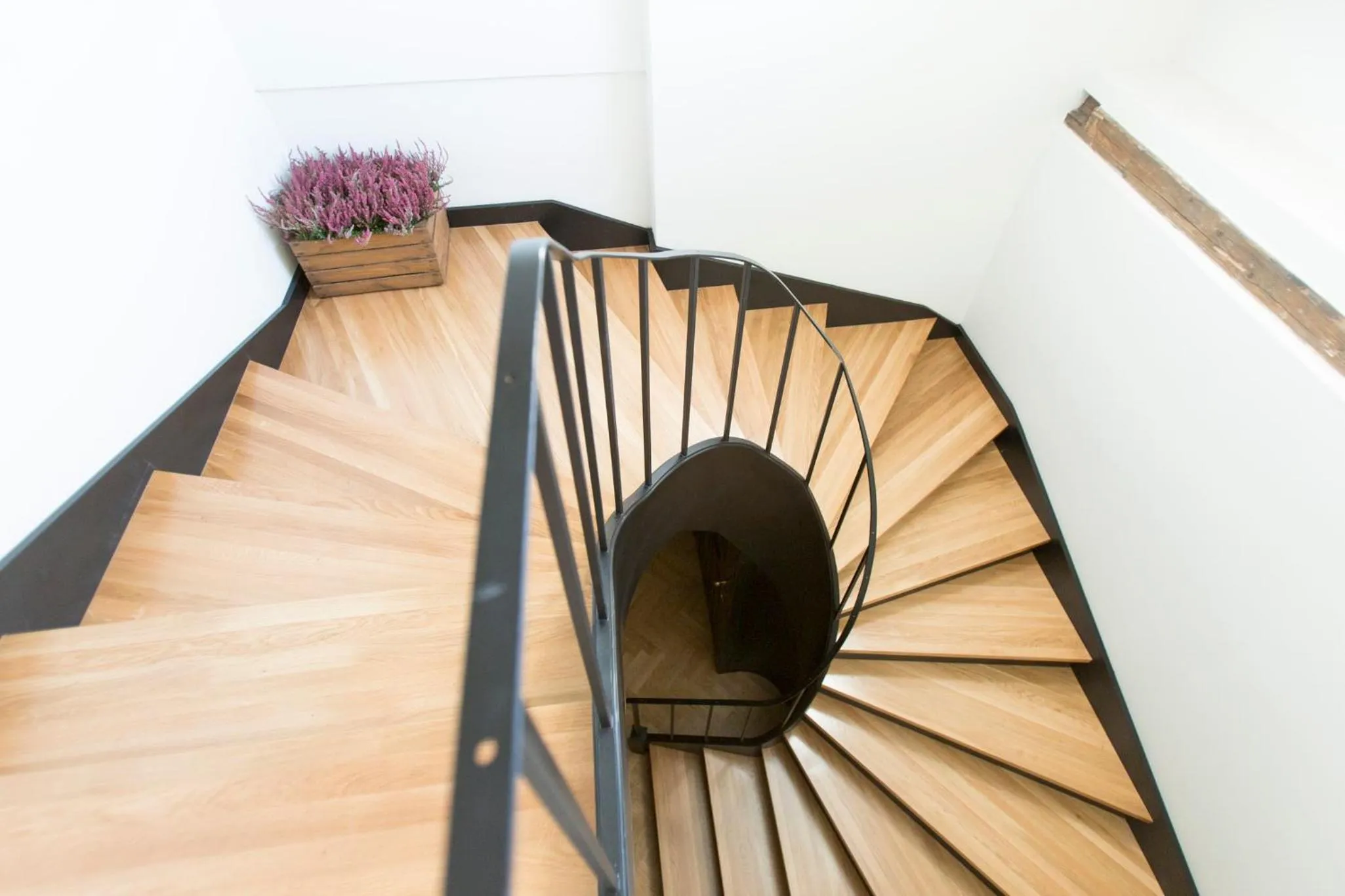 Other in Antique Apartments Plac Szczepański