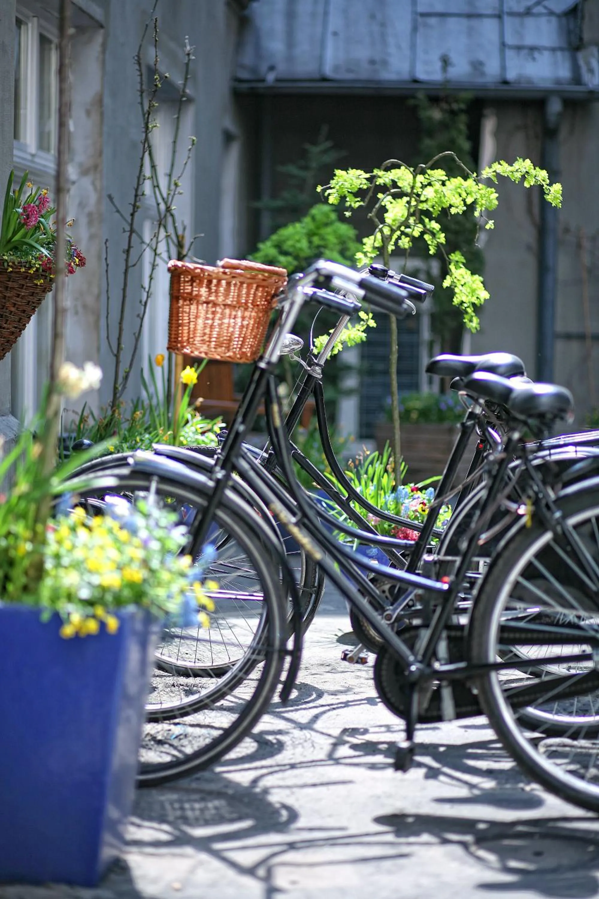 Cycling in Antique Apartments Plac Szczepański