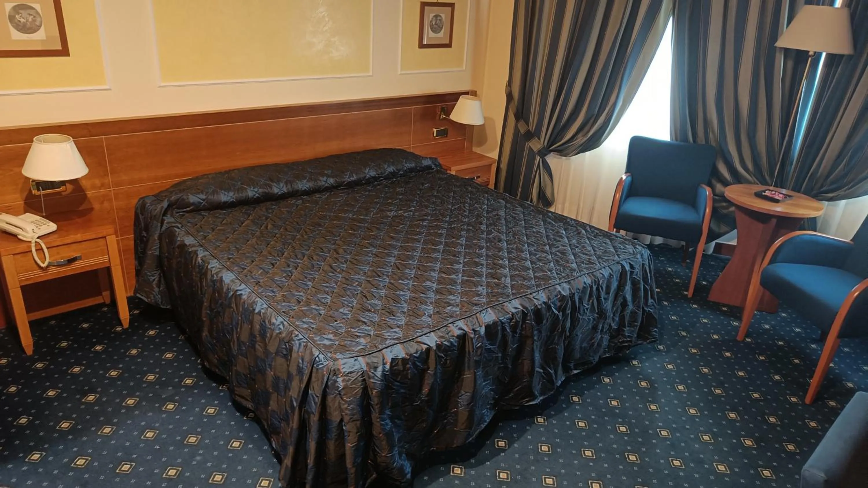 Junior Suite - single occupancy in Hotel Lemi