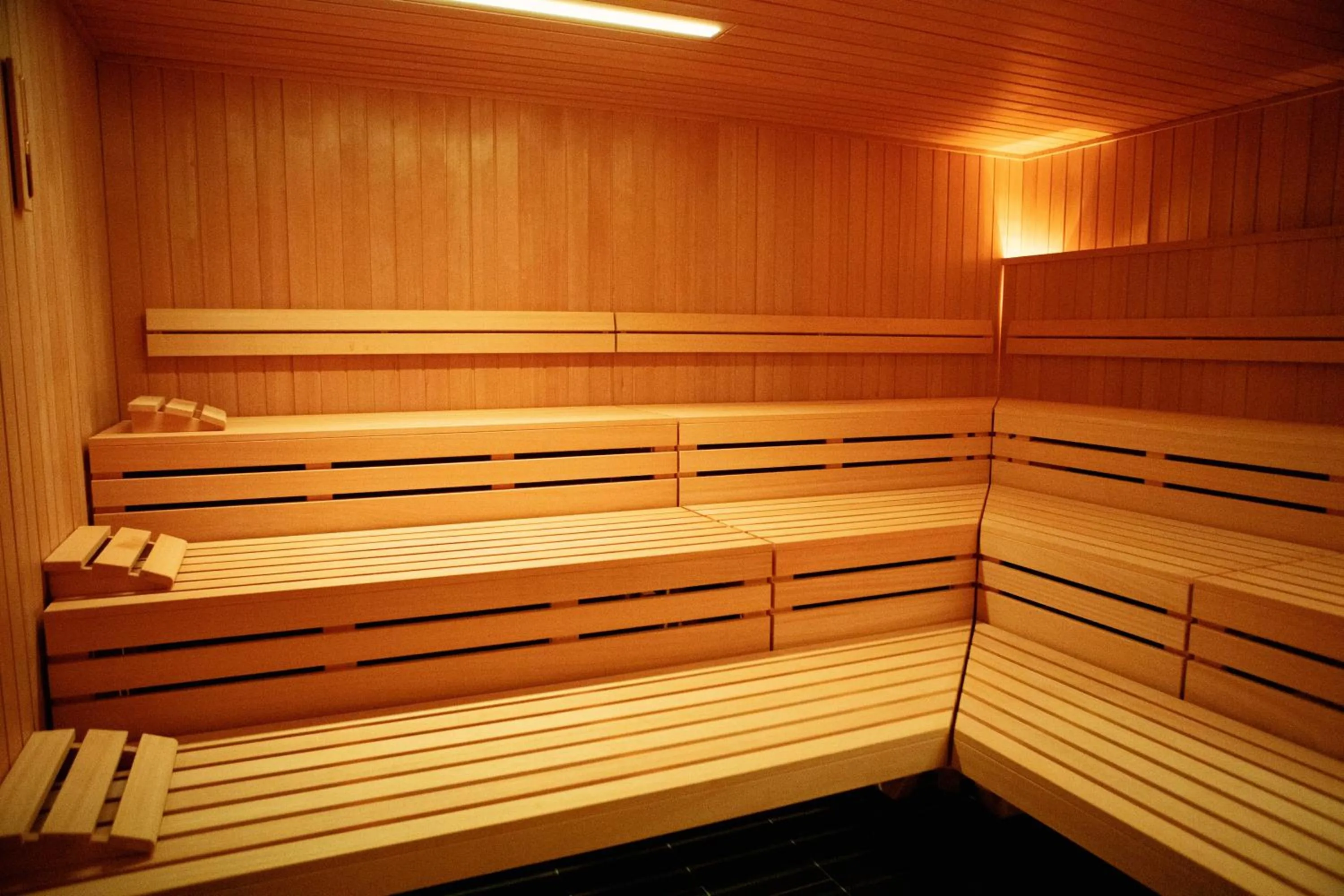 Sauna in Hotel Lemi