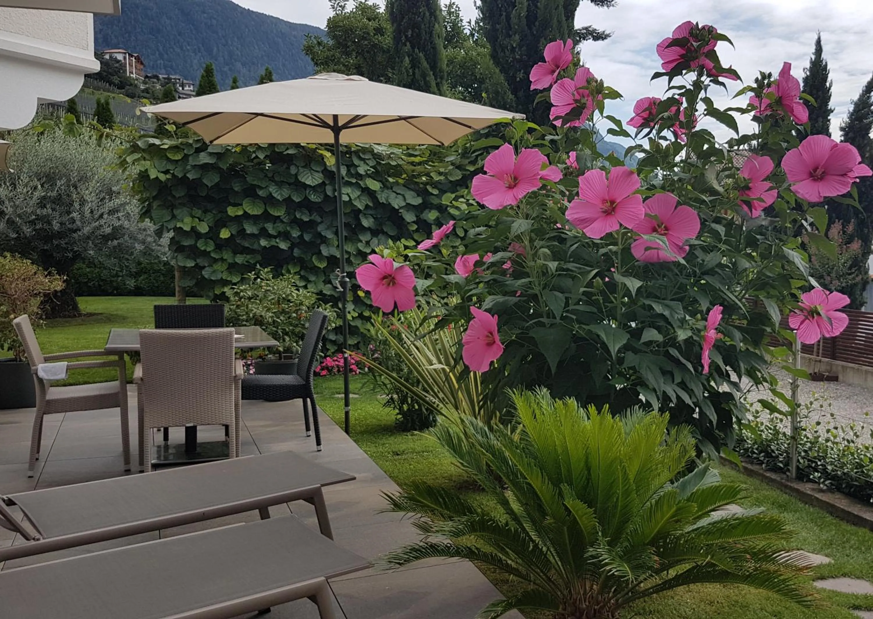Garden in Appartements Dornach