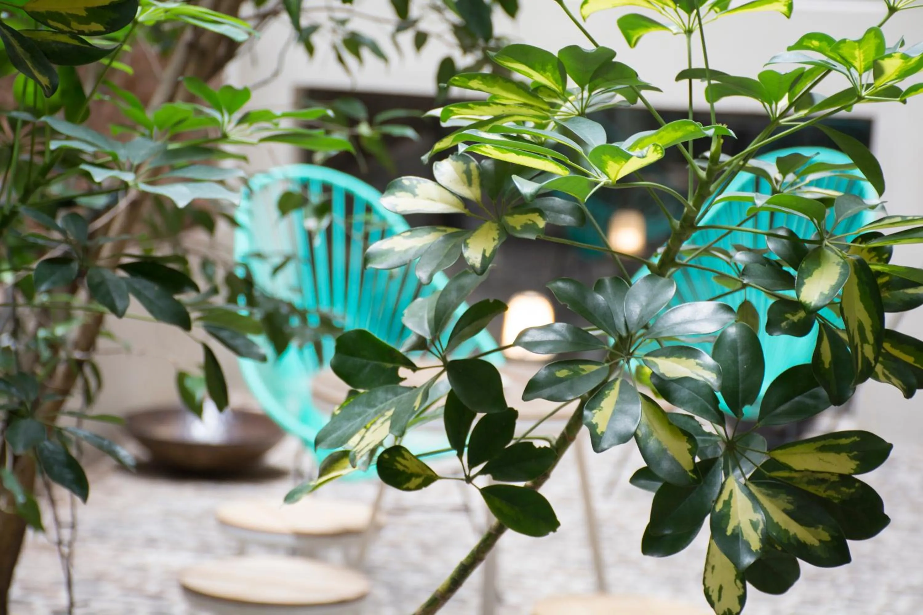 Balcony/Terrace in Marcel de Buenos Aires