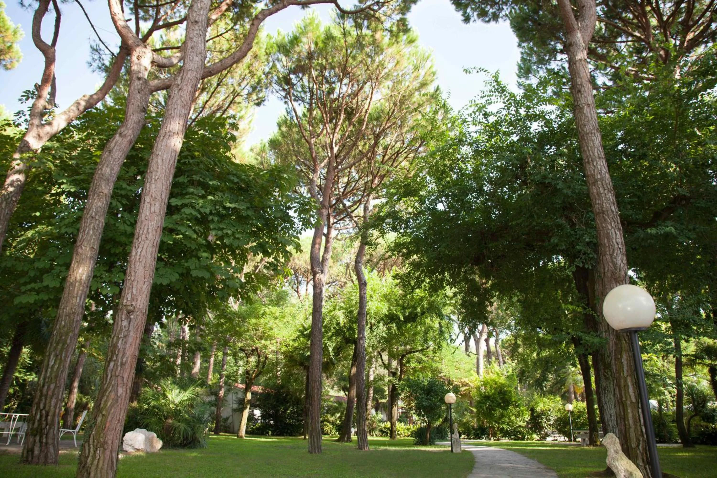 Natural landscape in Hotel Valdor