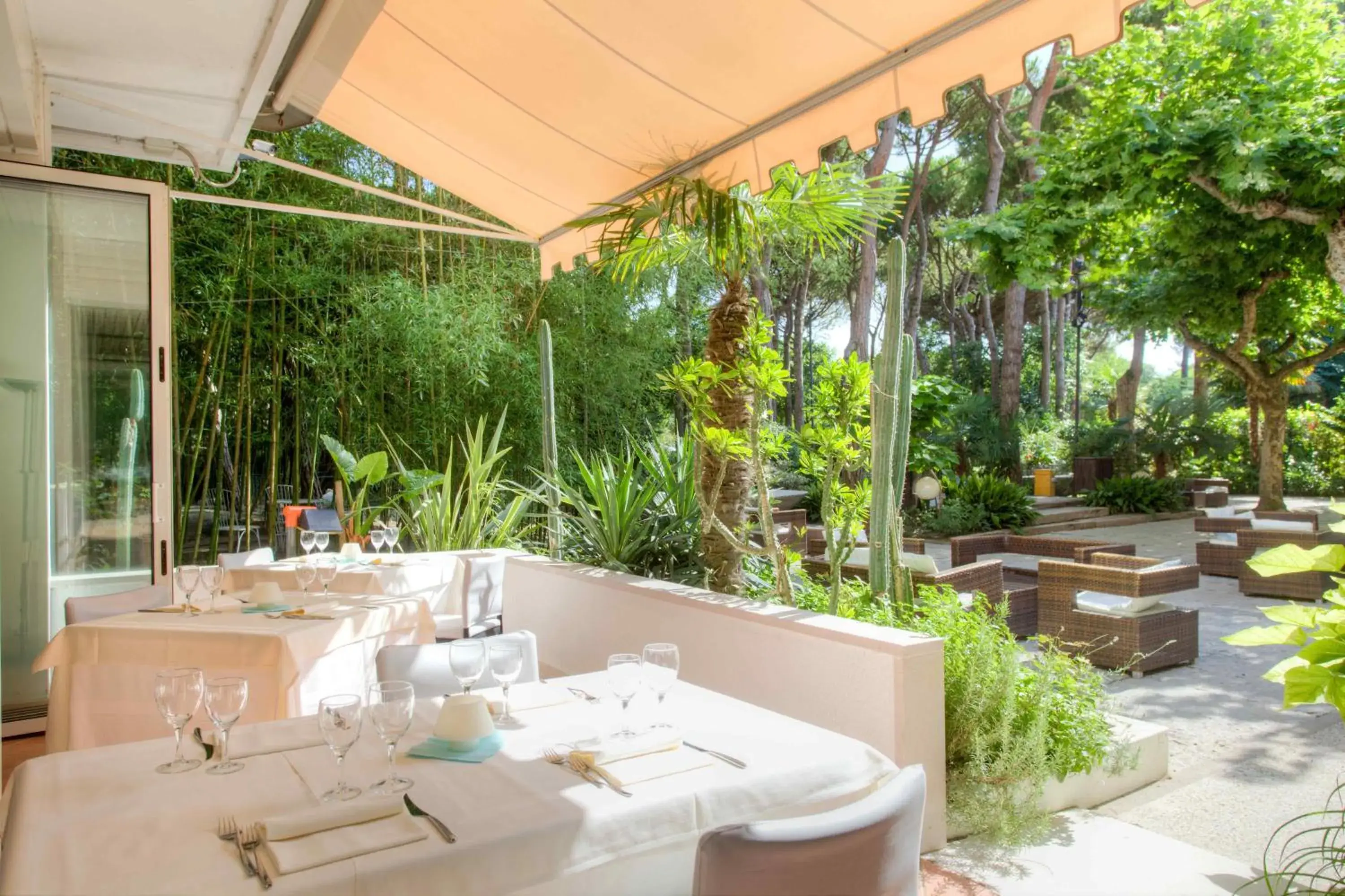 Restaurant/places to eat in Hotel Valdor Restaurant/places to eat in Hotel Valdor