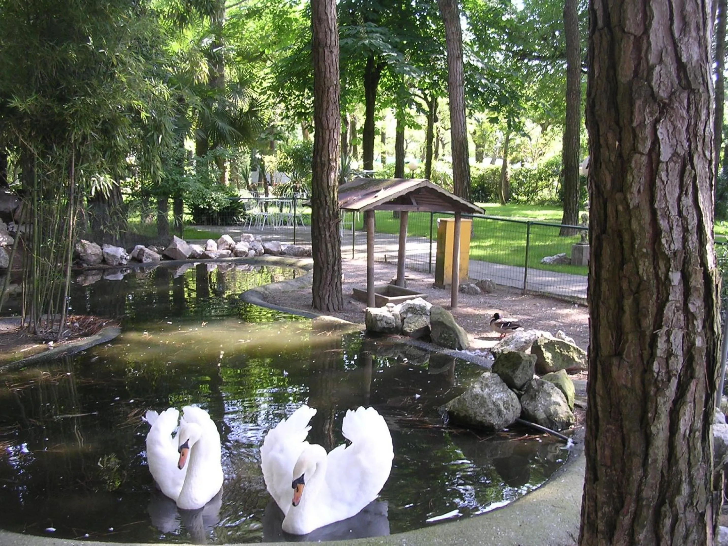 Garden in Hotel Valdor
