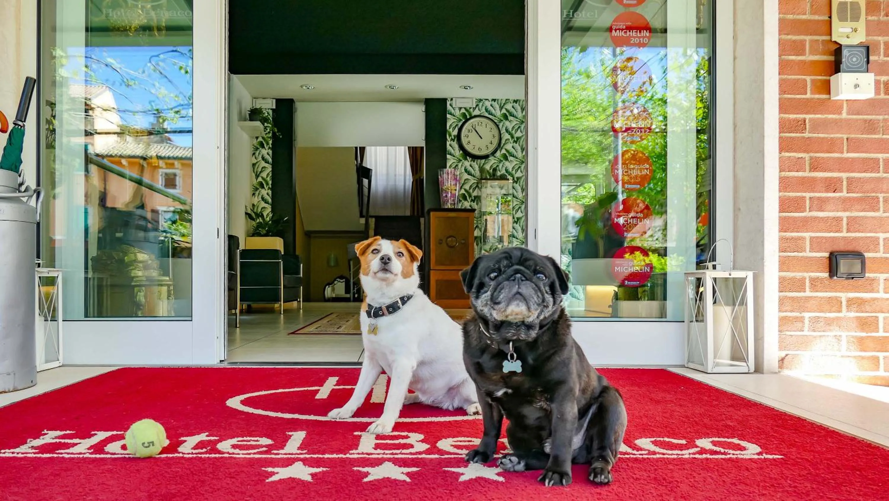 Pets in Hotel Benaco Garda ***S