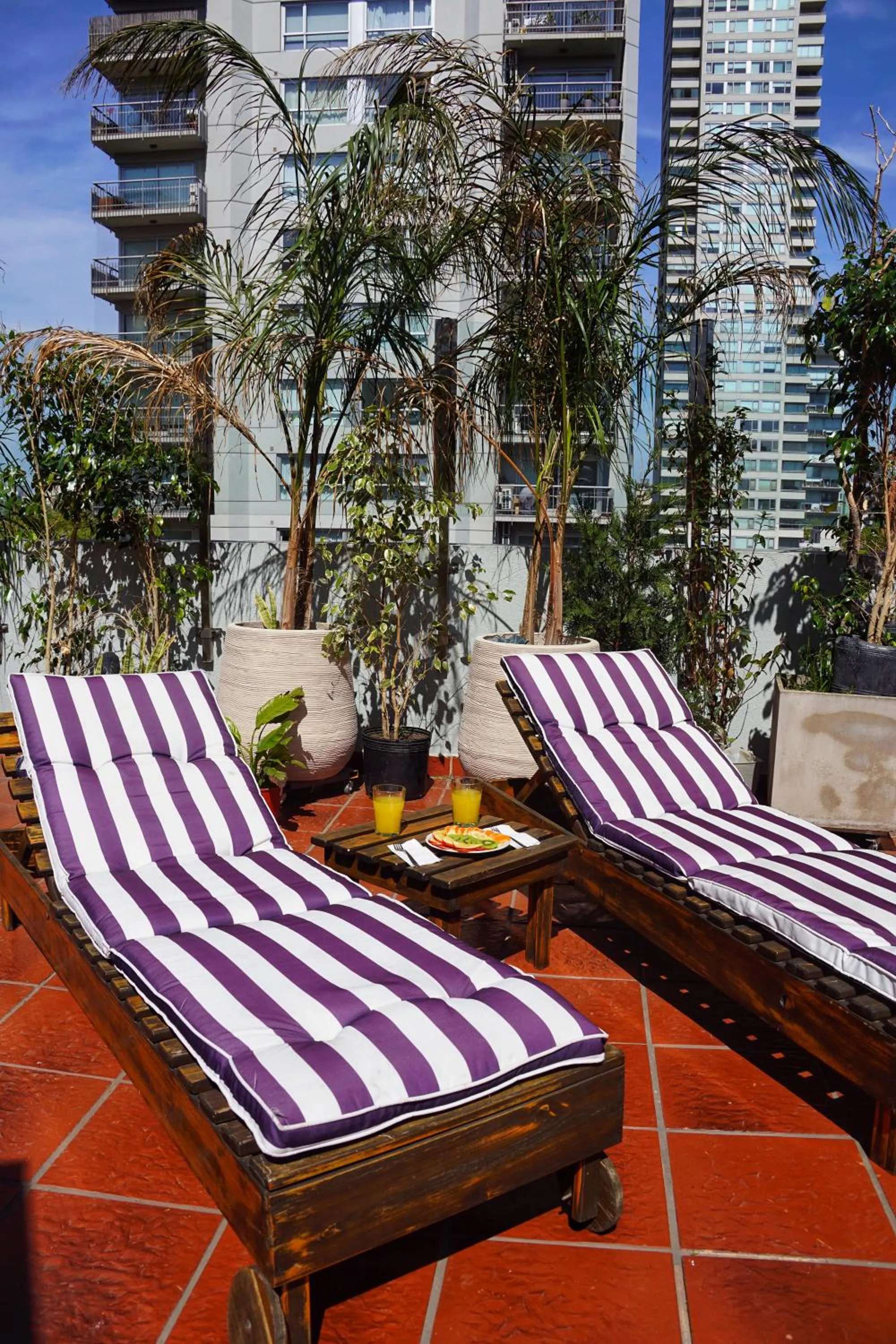 Balcony/Terrace in Shoshana Hotel Boutique