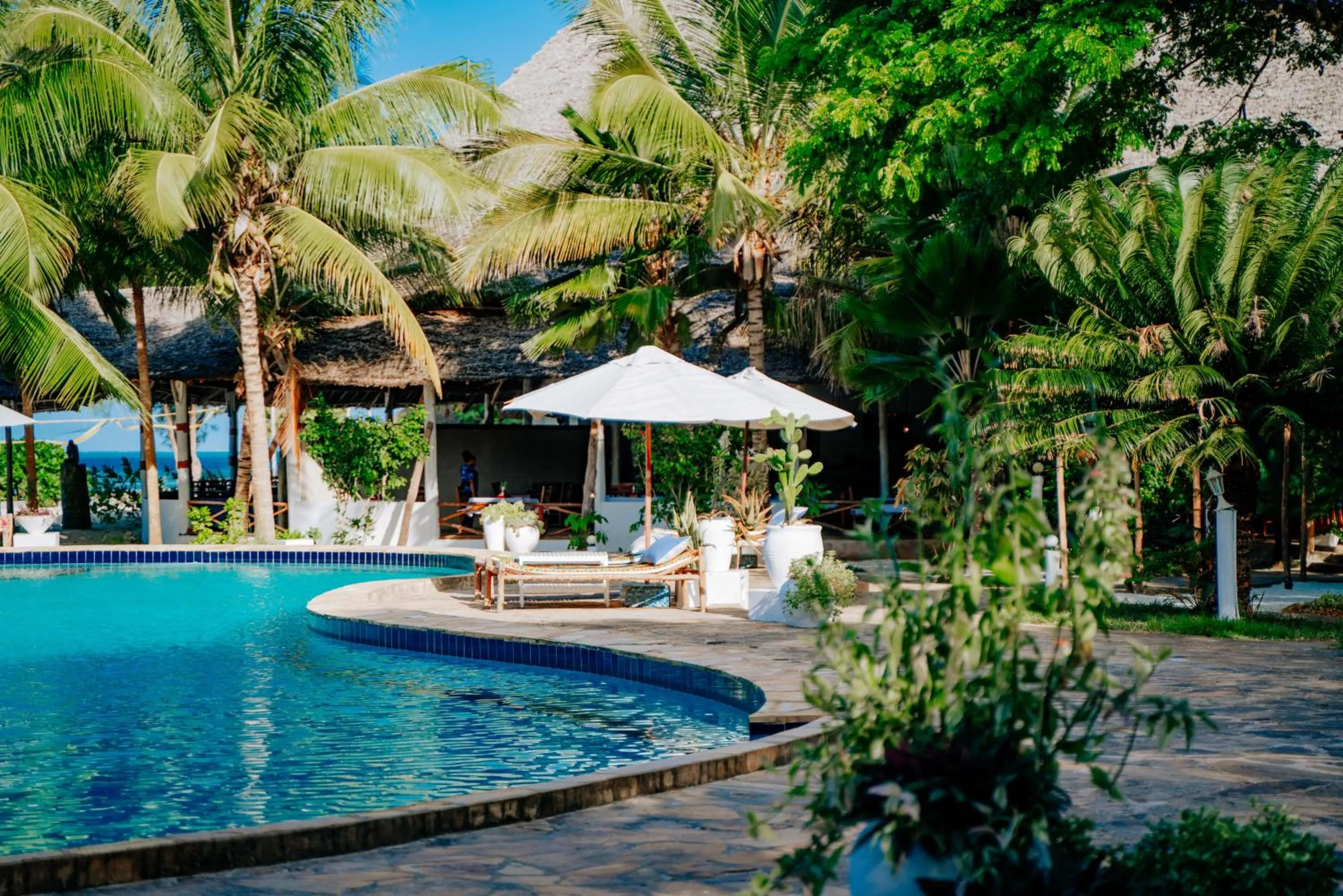 Pool view in Spice Island Hotel & Resort