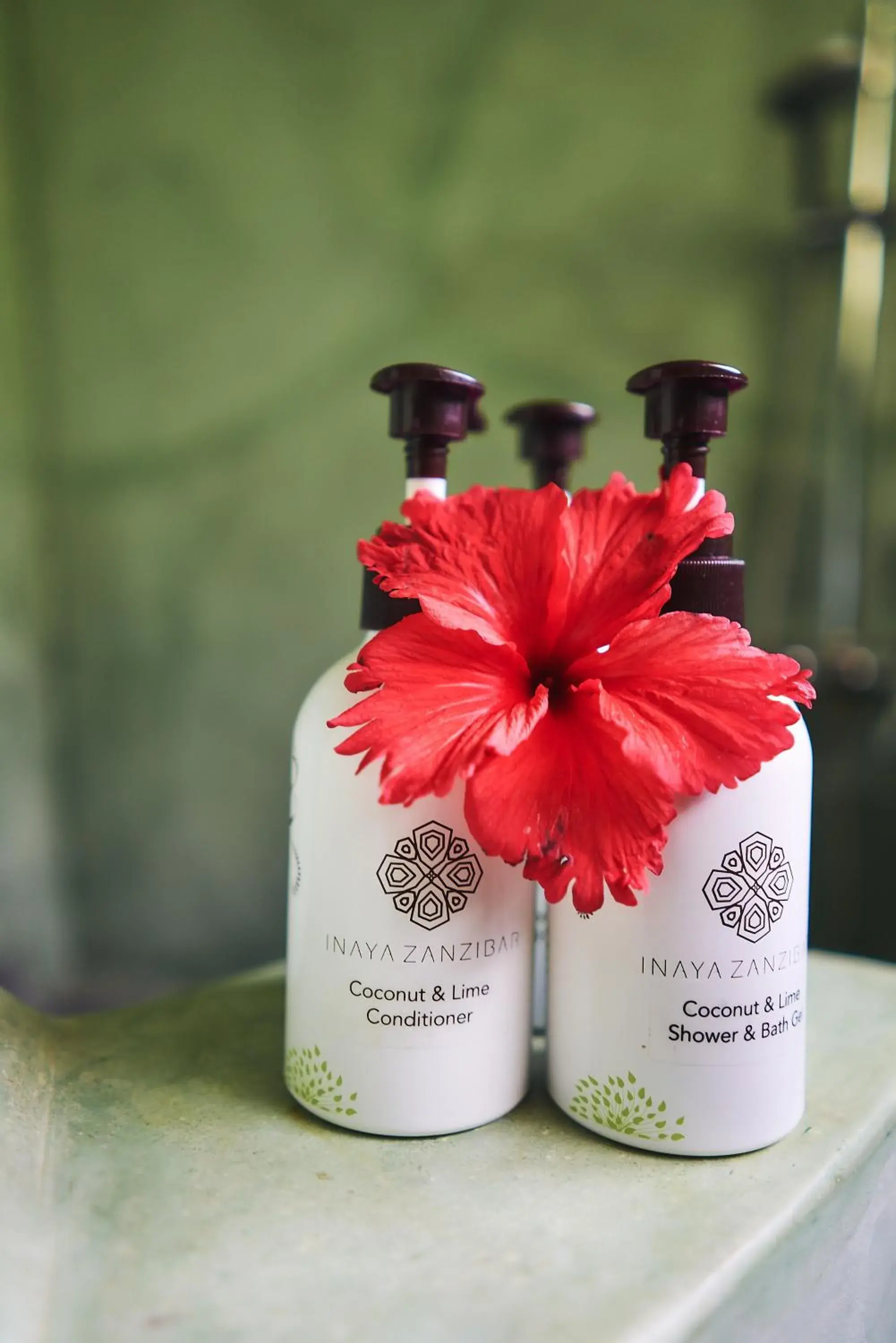 Superior Garden View room in Spice Island Hotel & Resort Superior Garden View room in Spice Island Hotel & Resort