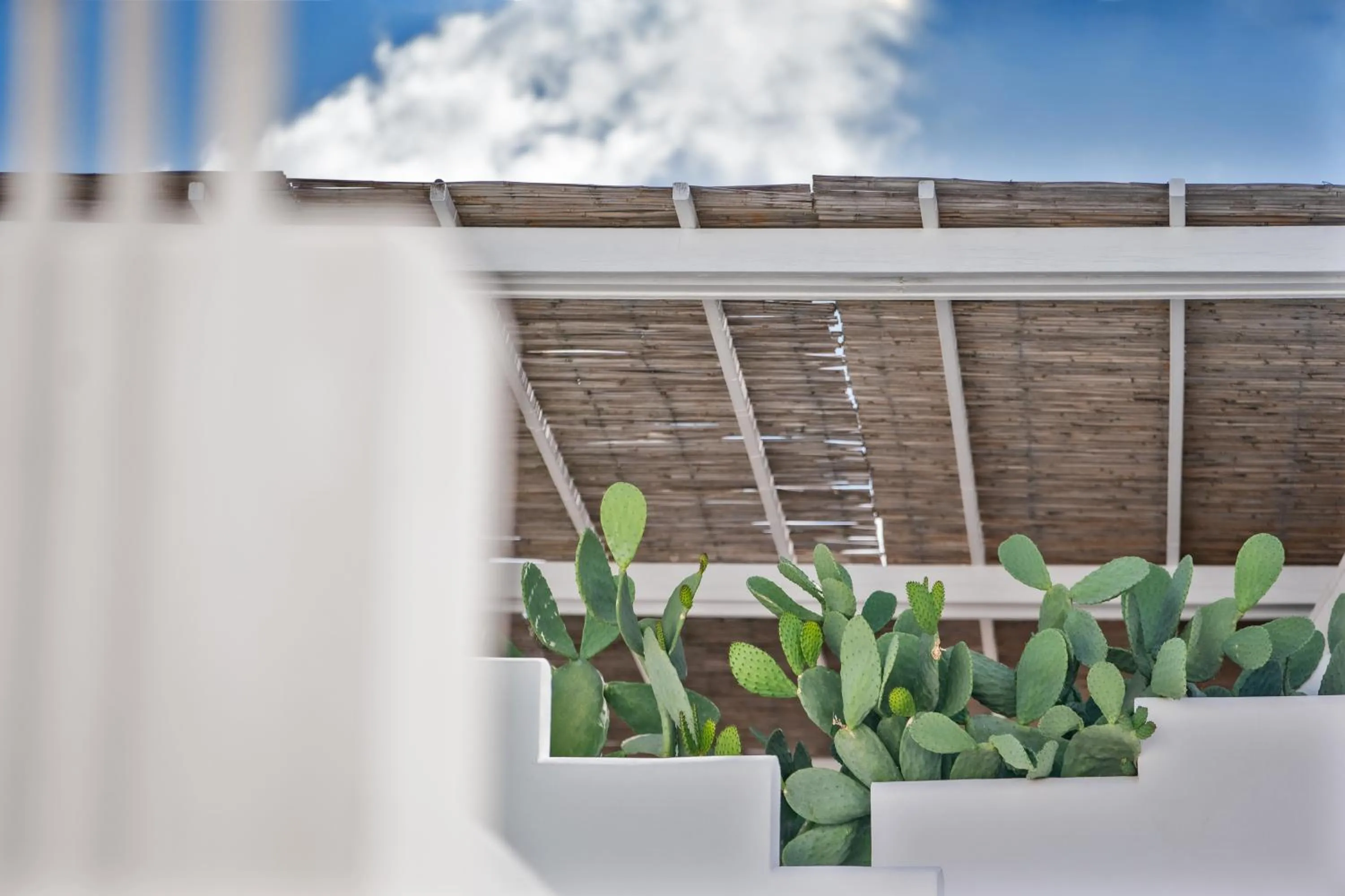 Balcony/Terrace in Relais Corte Palmieri & Il Chiostro - Residenza d'epoca