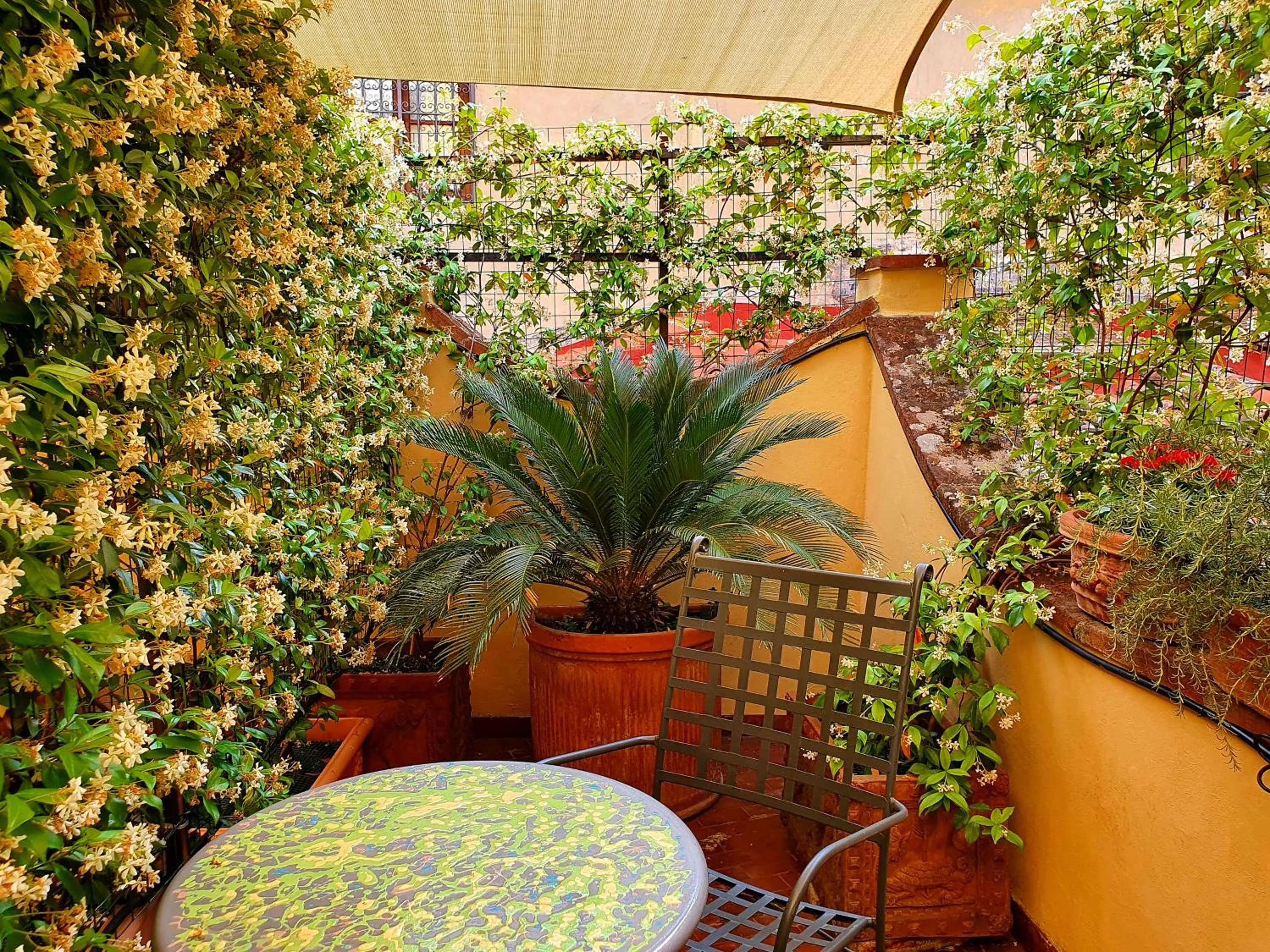 Patio in Hotel Annalena