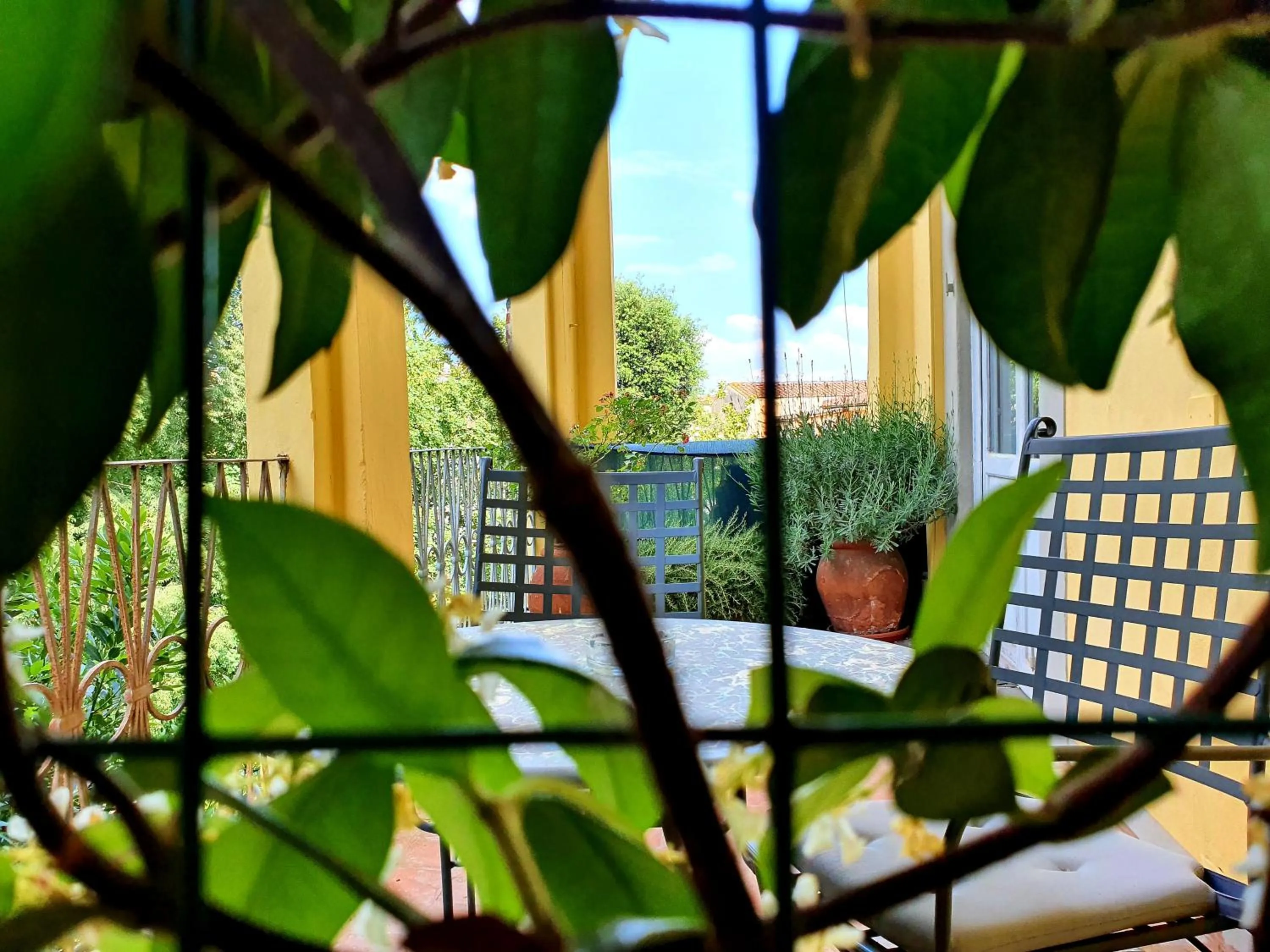 Balcony/Terrace in Hotel Annalena