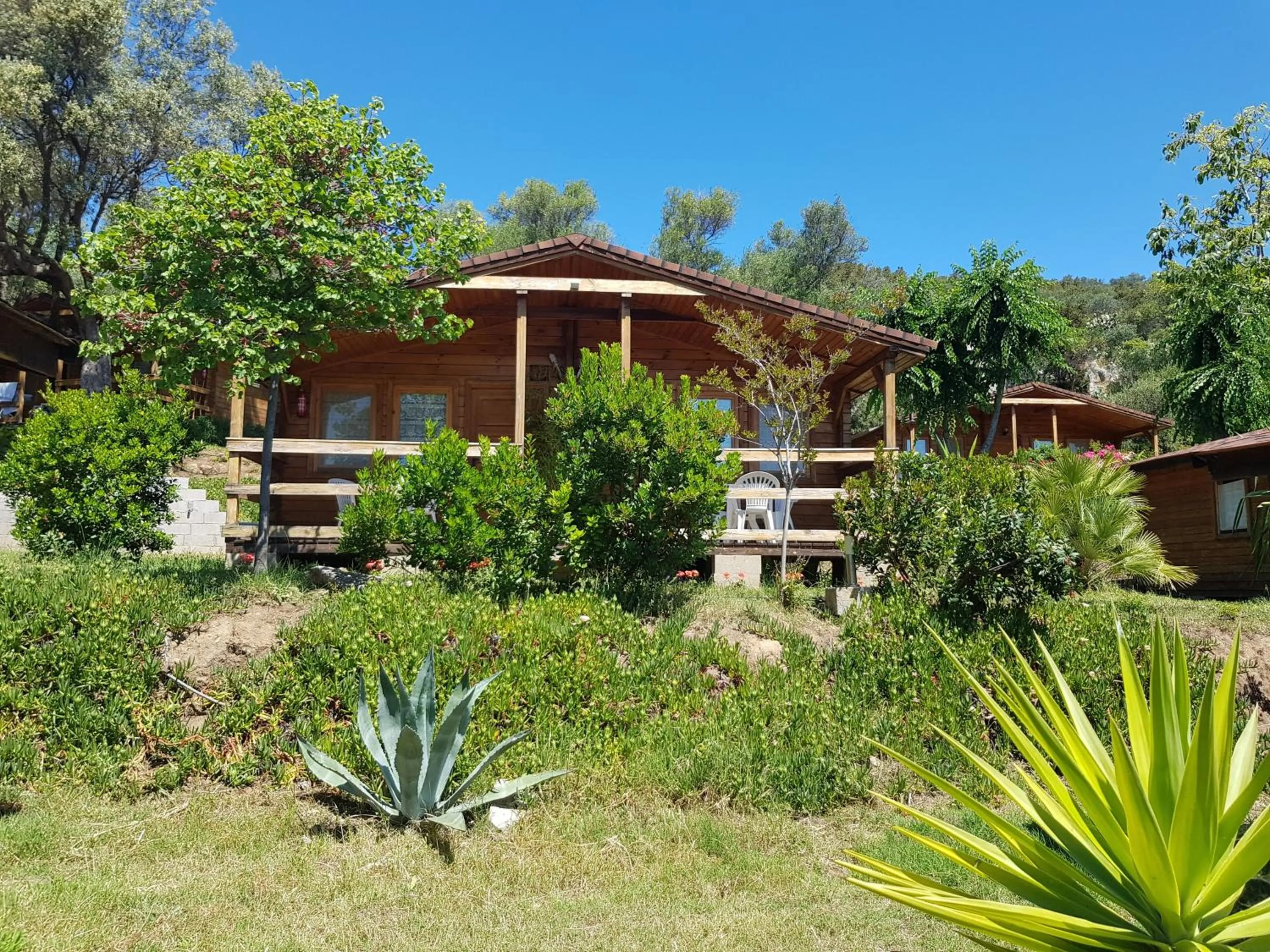 Garden in Mare E Monti