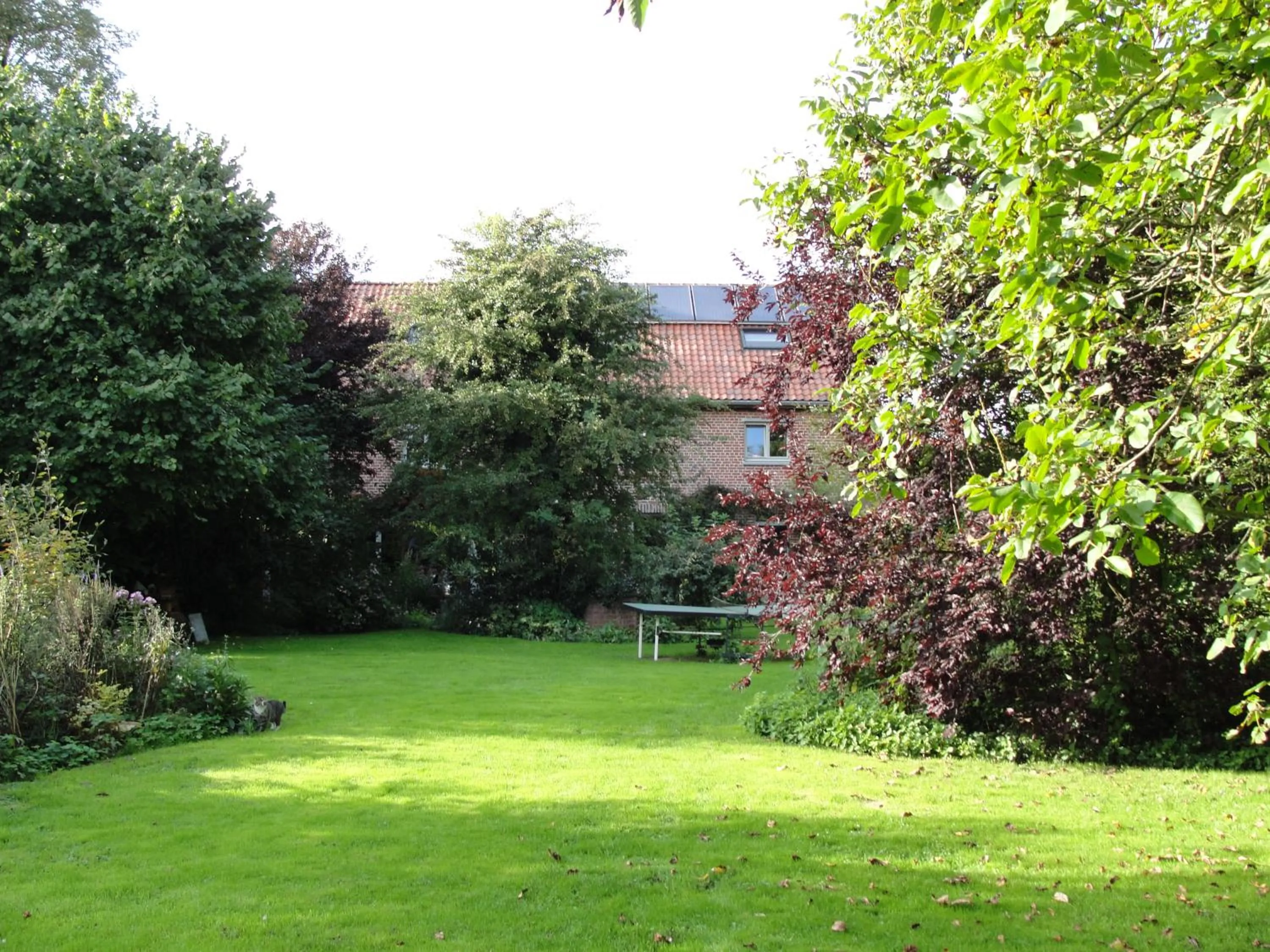 B&B Hedera
