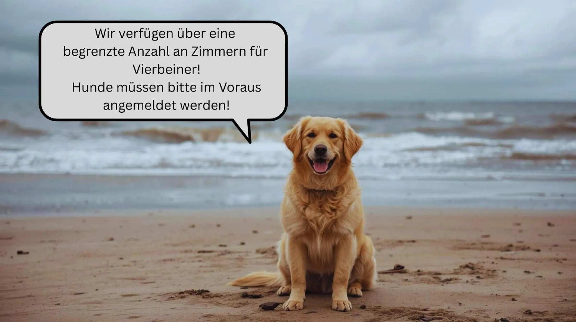 Pets in Hotel Strand No.1
