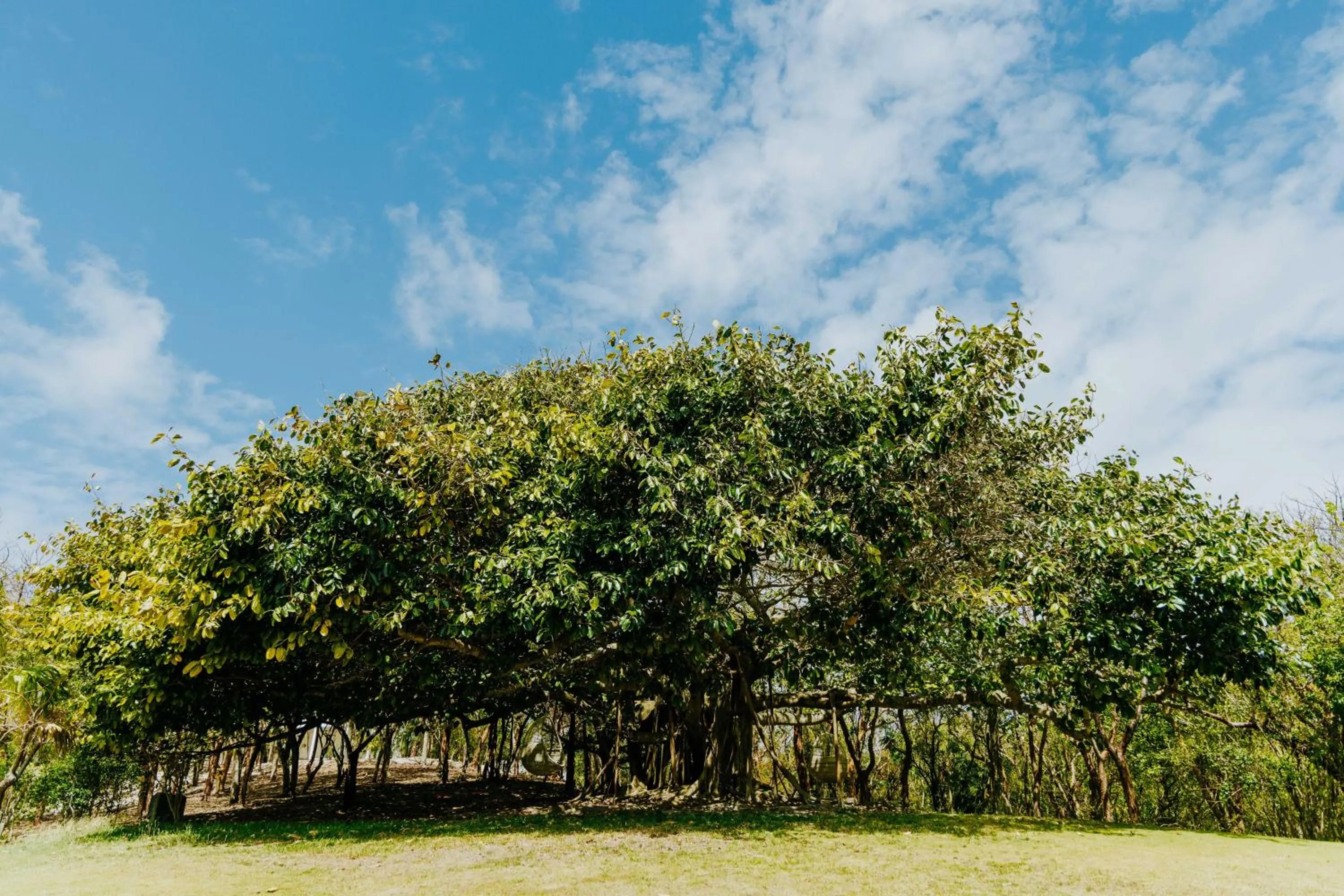 Property building in Pink Sands Resort